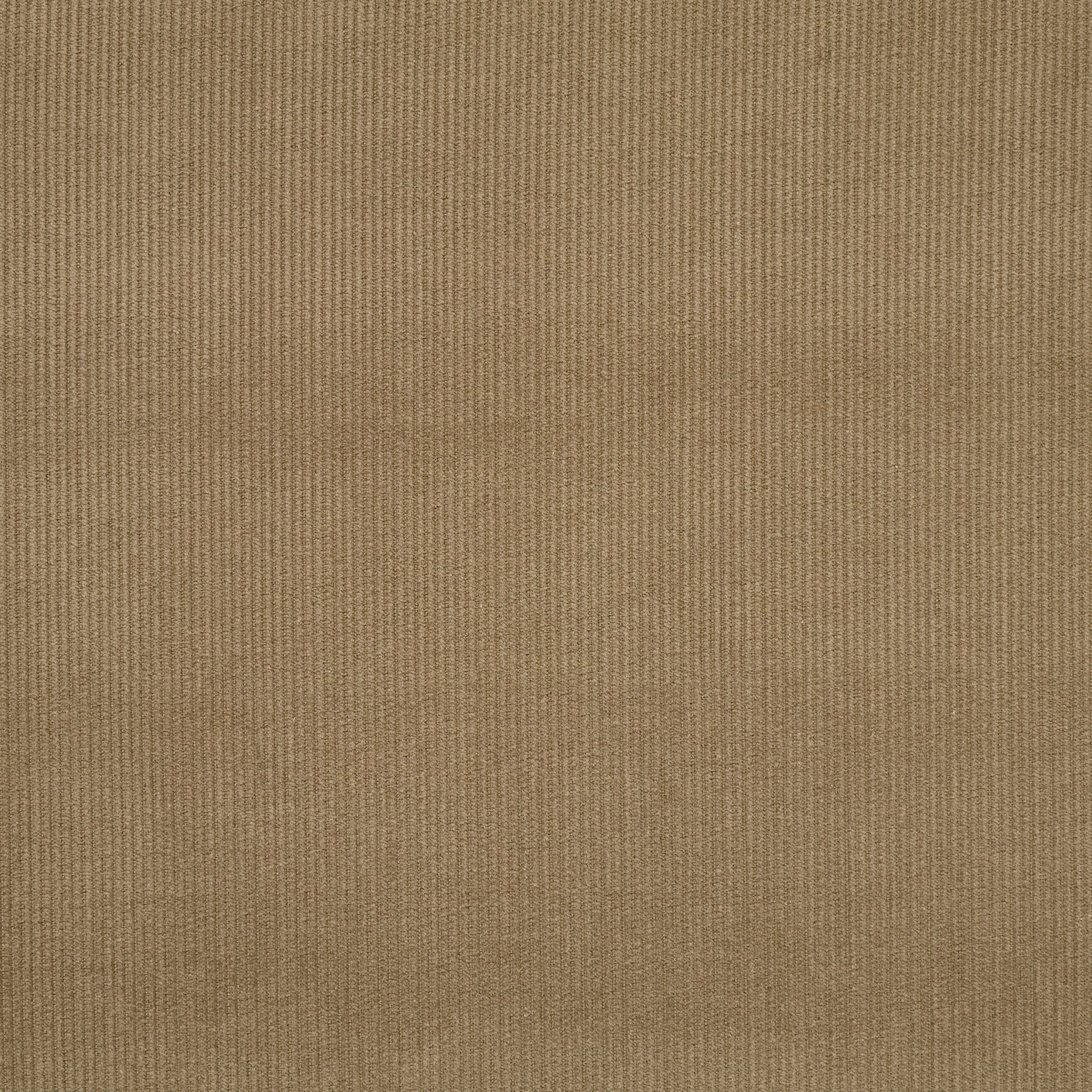Sztruks, Bawełna, Green Taupe (F0000052) - Tkana