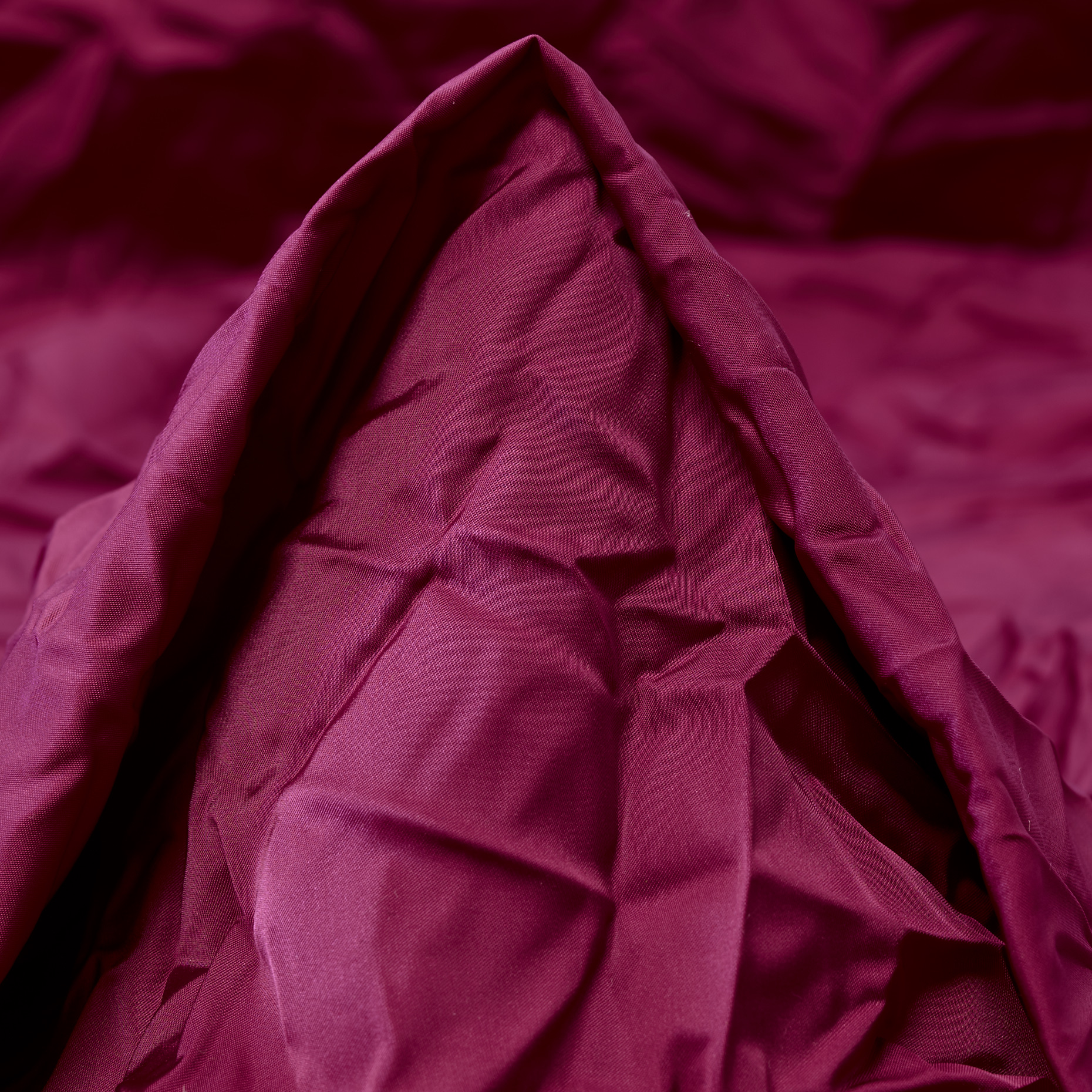 CRASH, WRINKLY, FUCHSIA ROSE (T0000639)