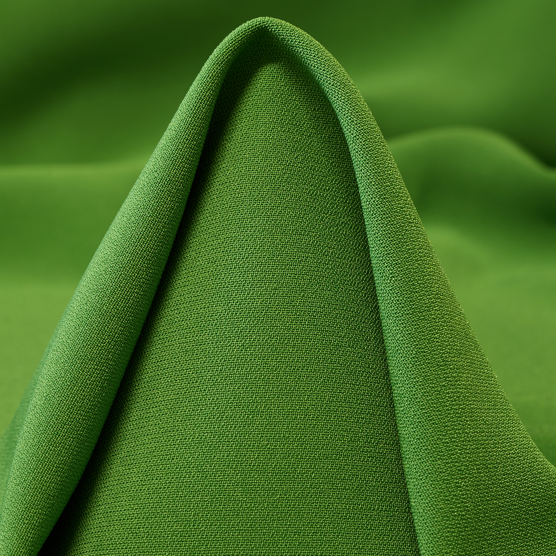 CADY, ELASTIC, ARTICHOKE (F000049347)