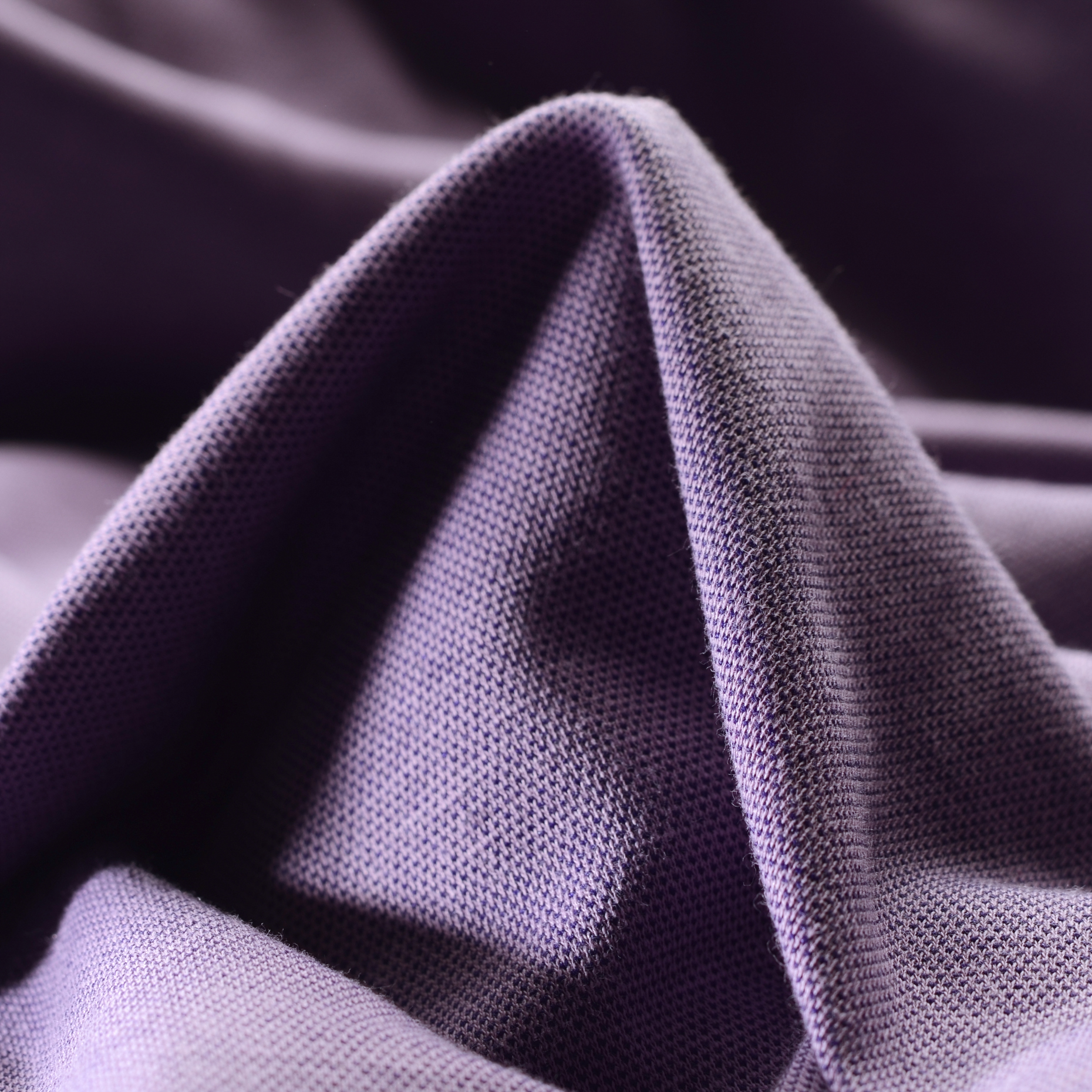 JERSEY, COTTON, VIOLA (F000019944)