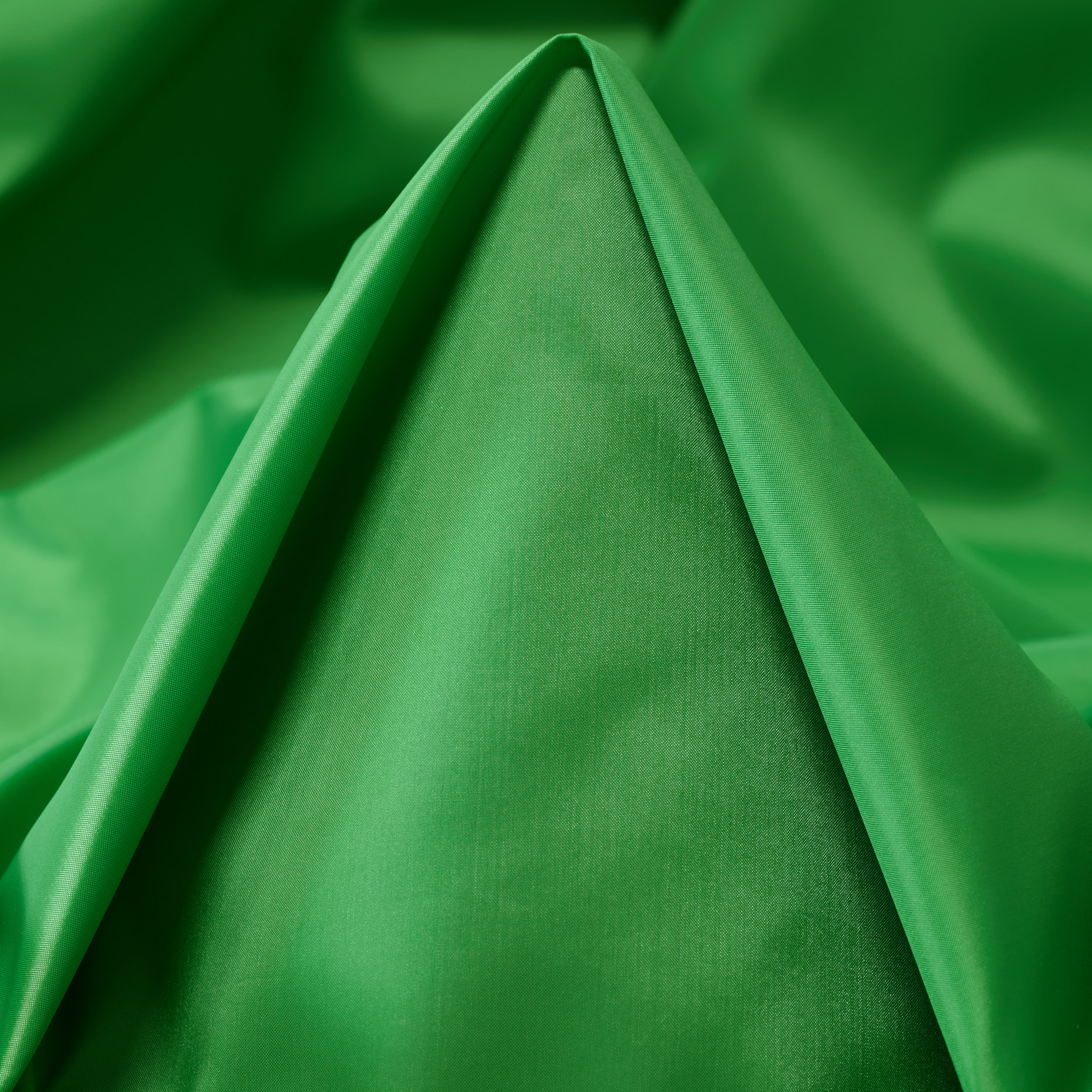 OUTDOOR, GREEN BEE (F000037318)