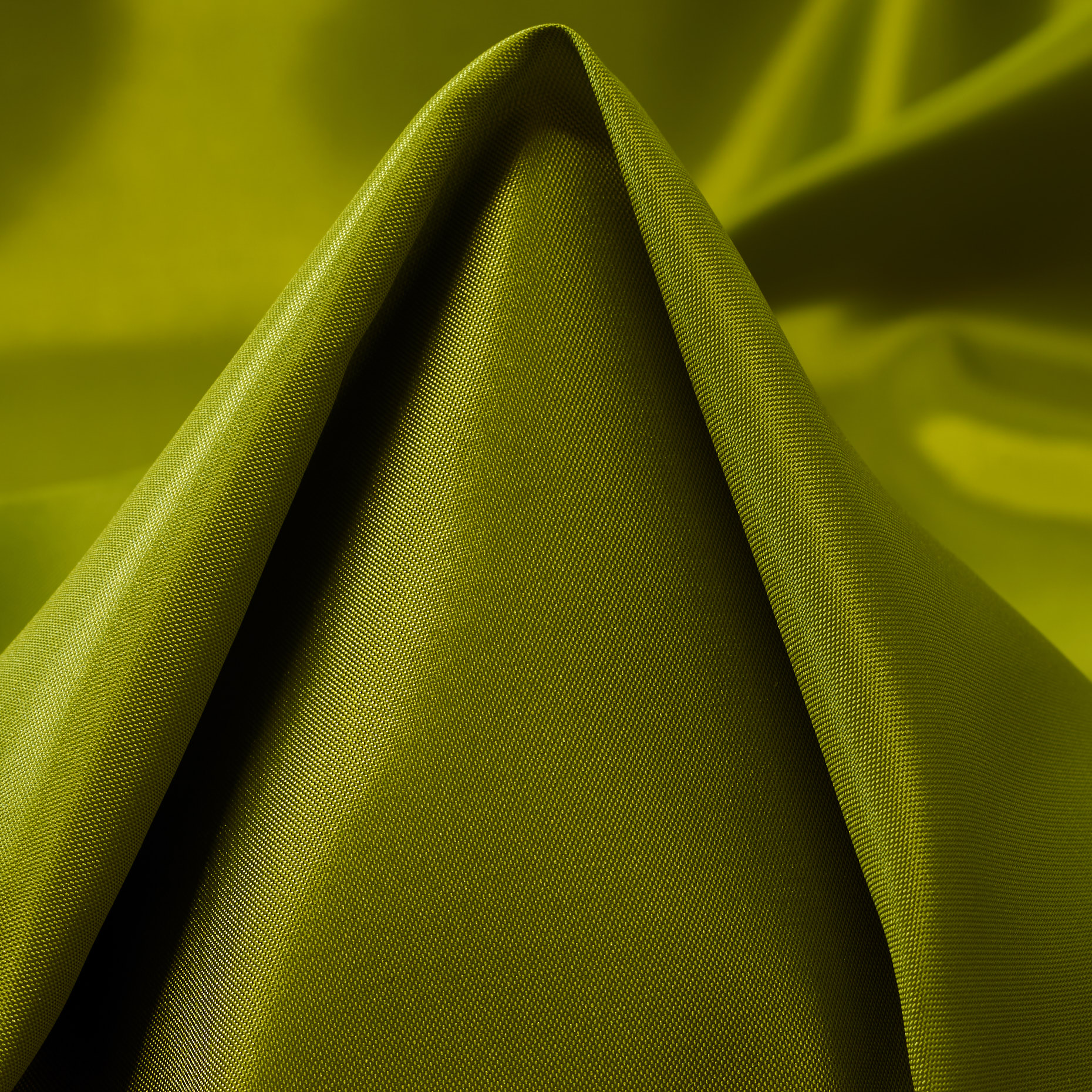 LINING, GOLDEN CYPRESS (F000043489)