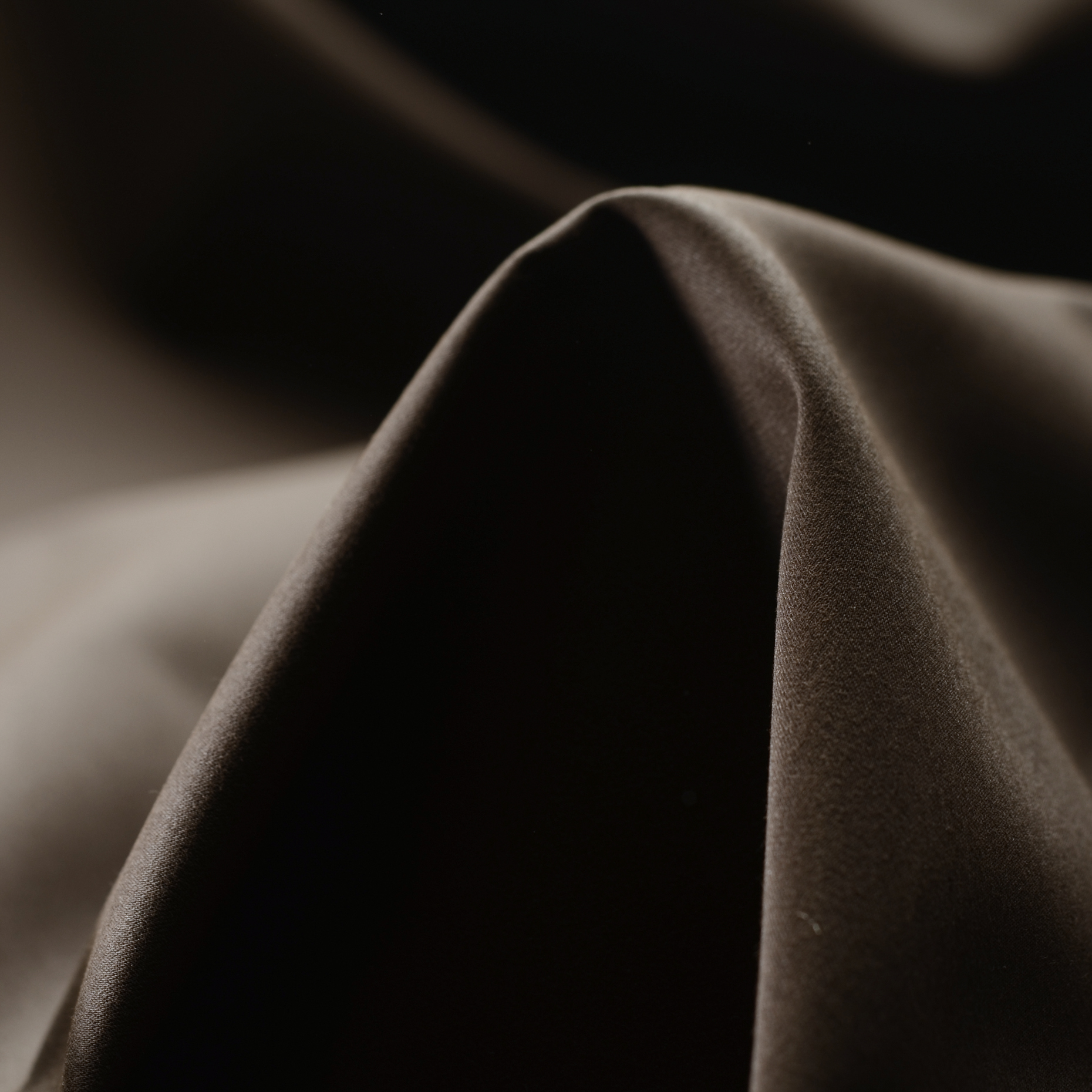 POPLIN, COTTON, BRUSHED, MULCH