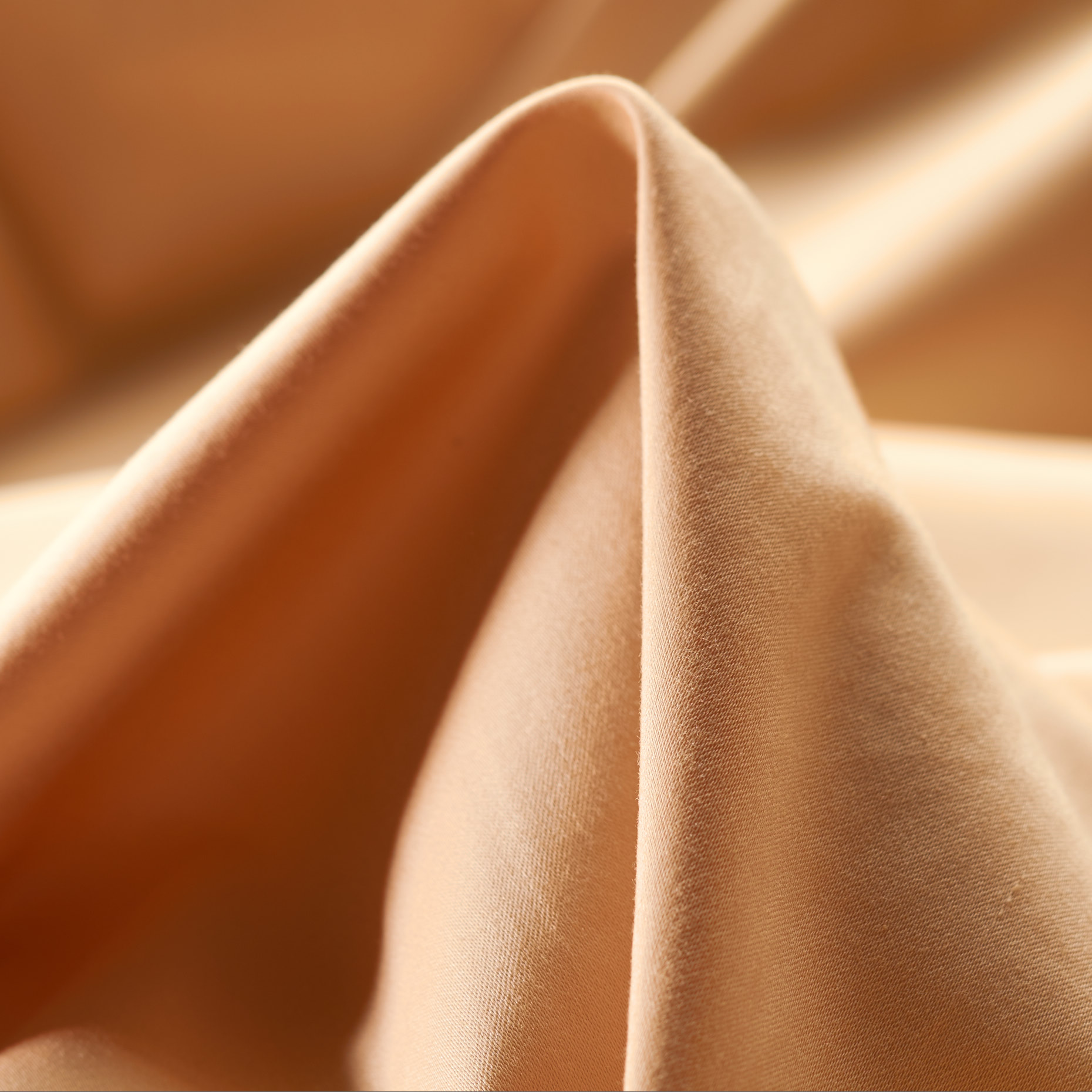 SATIN, COTTON ELASTIC, APRICOT BLUSH (F000024270)