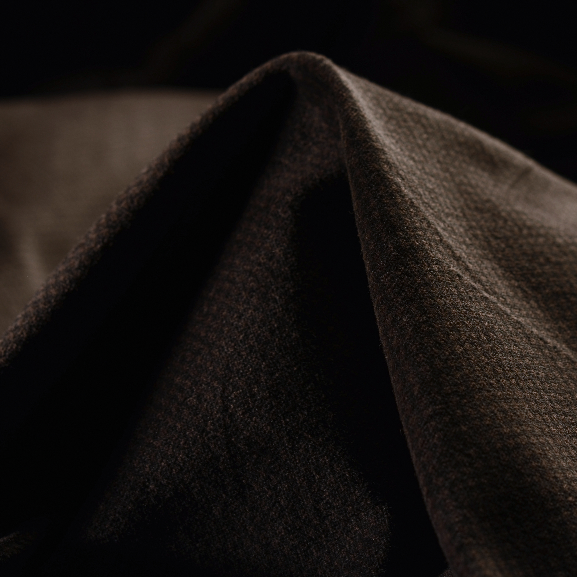 VELVET, COTTON, MICRO DESIGN, BLACK BEAN (F000017638)