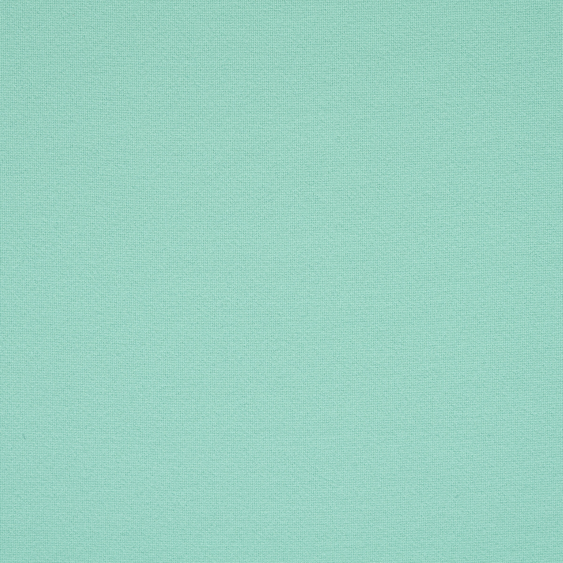 Jersey, Élastique, Pastel Turquoise (F000046287) - Tissage