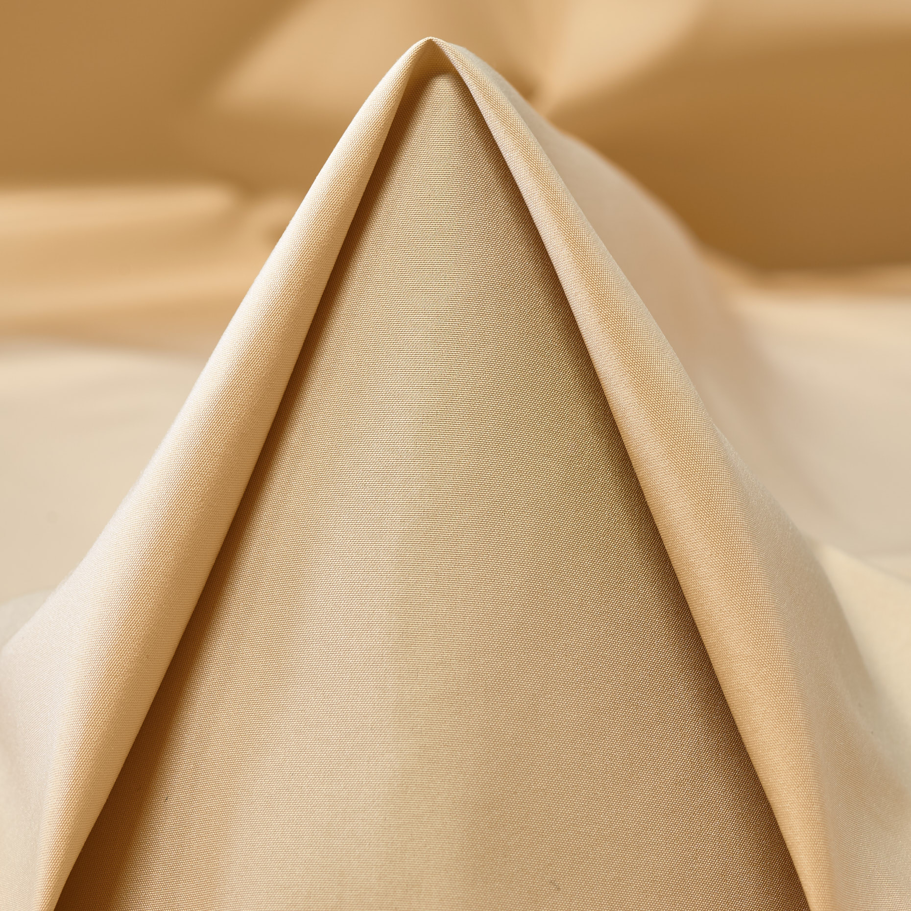 TAFFETA, MOJAVE DESERT (F000045377)