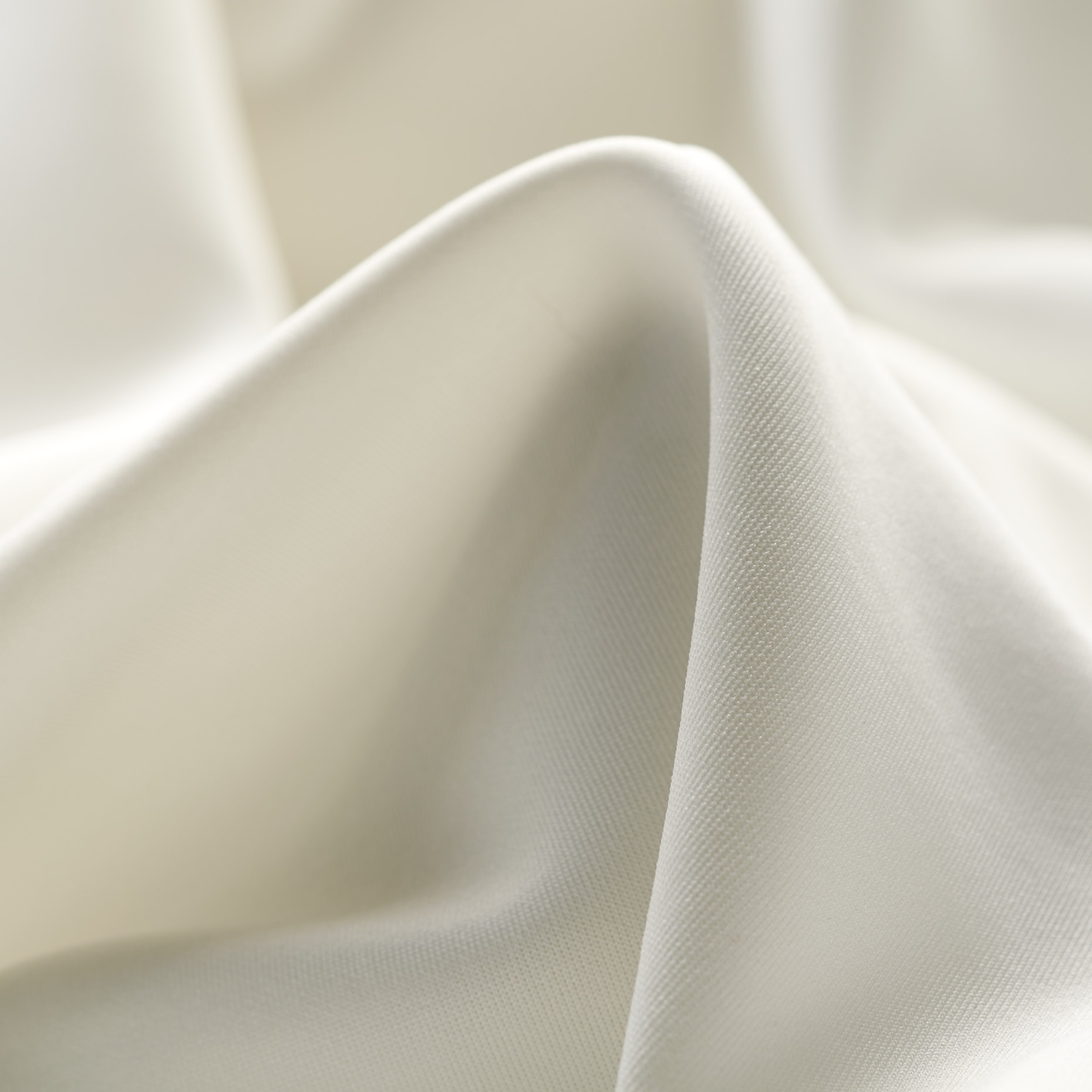 JERSEY, PUNTO ROMA, SNOW WHITE (F000025554)