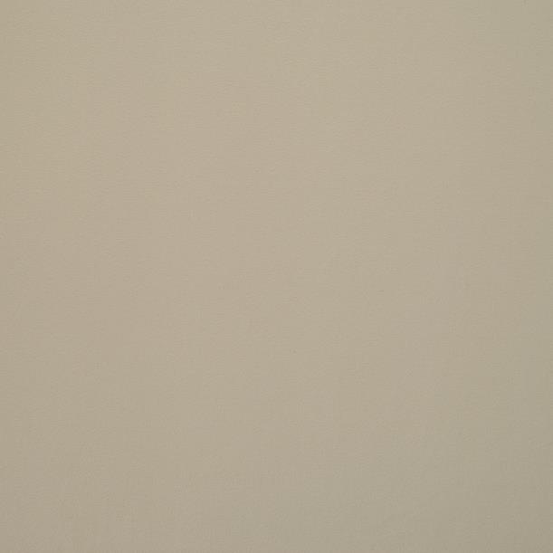 Техно Стрейч, Полиамид, Oyster (F000028988) - Ткань