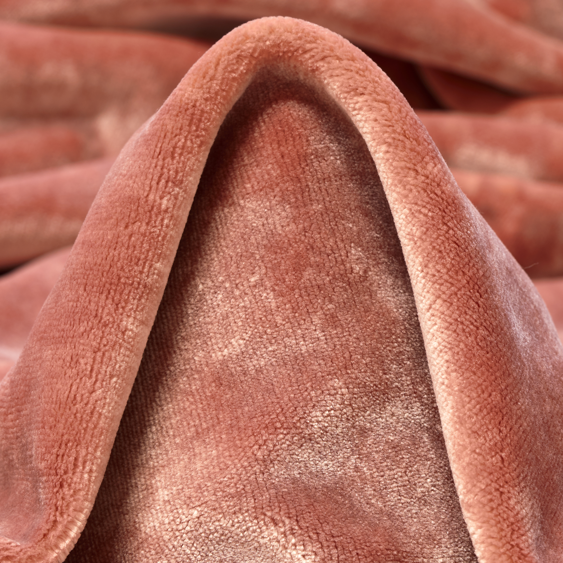 VELVET, VISCOSE, LOBSTER (C0002020)