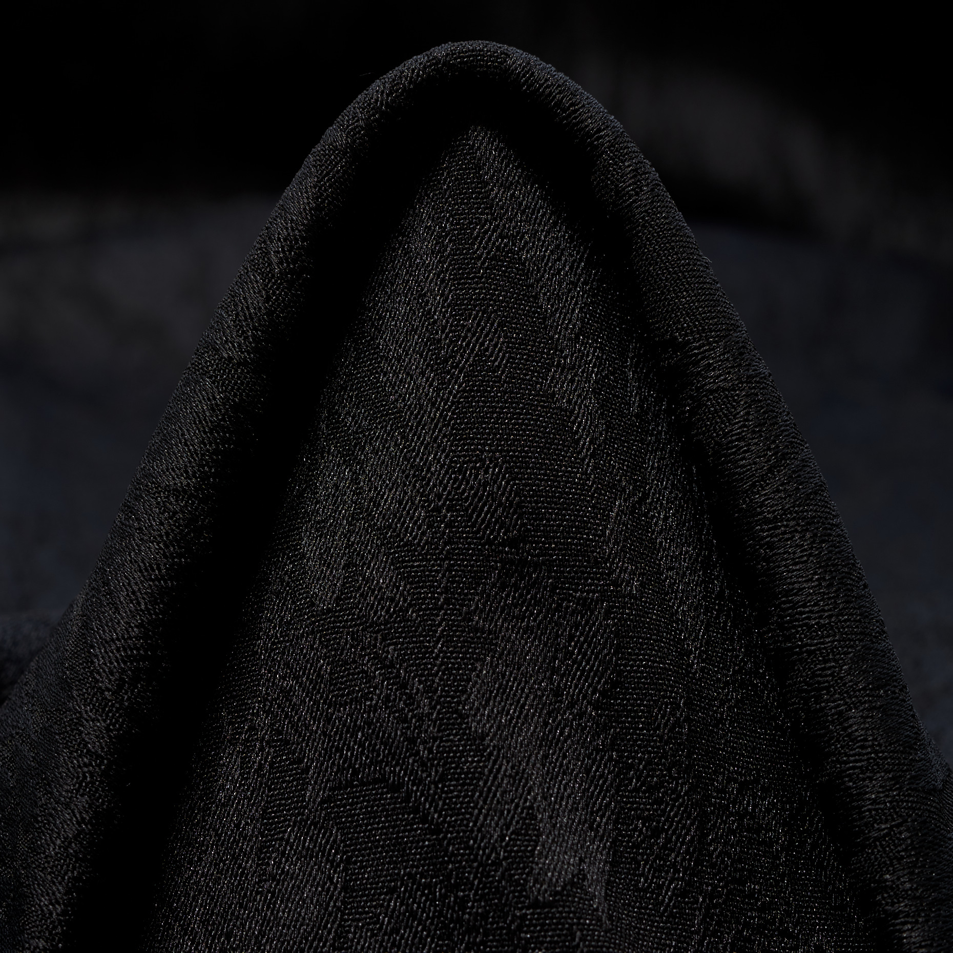 Jacquard, Floral, Ton in Ton, Raven Black (P000003920)