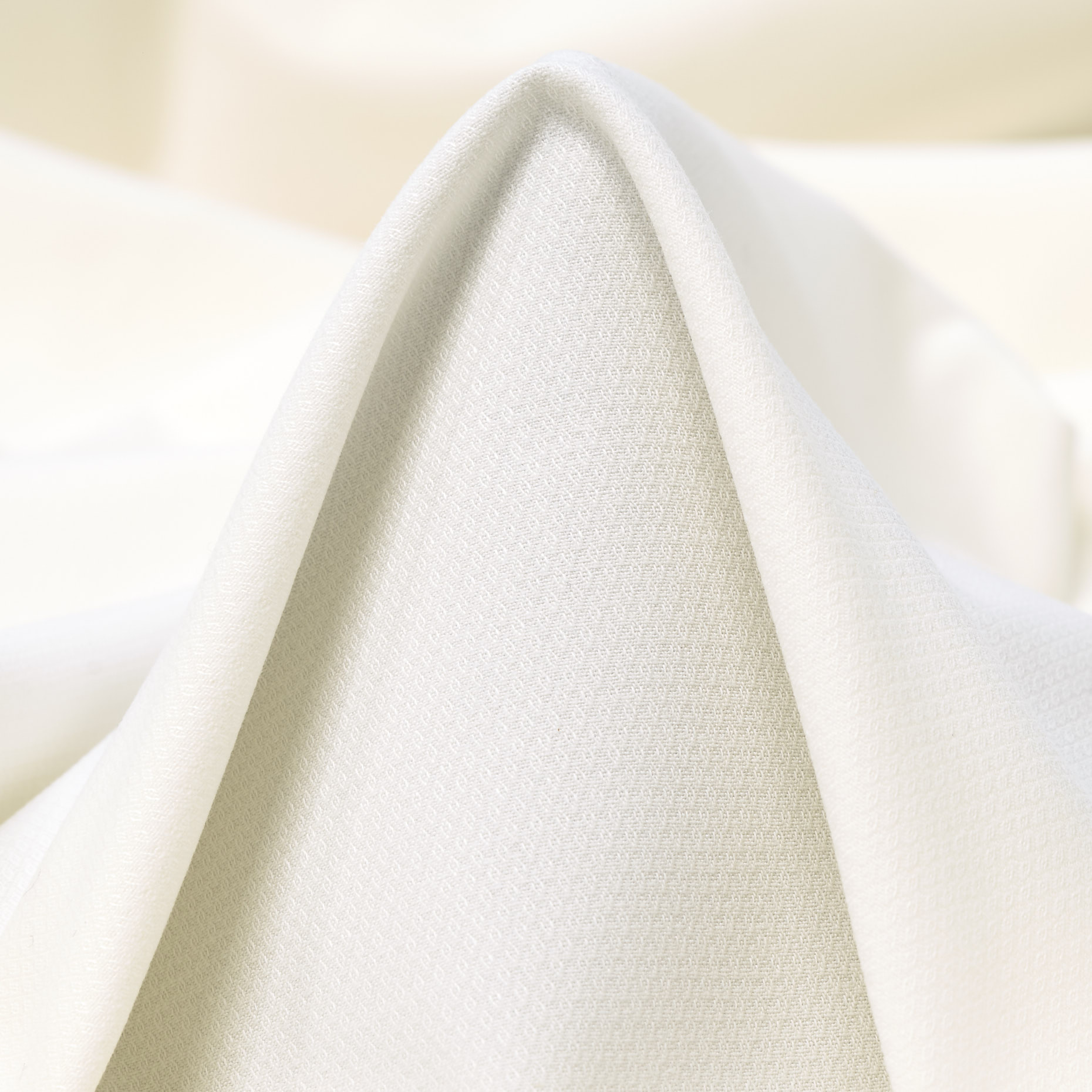 COTTON, ELASTIC, MICRO STRUCTURE, SNOW WHITE (F000037887)