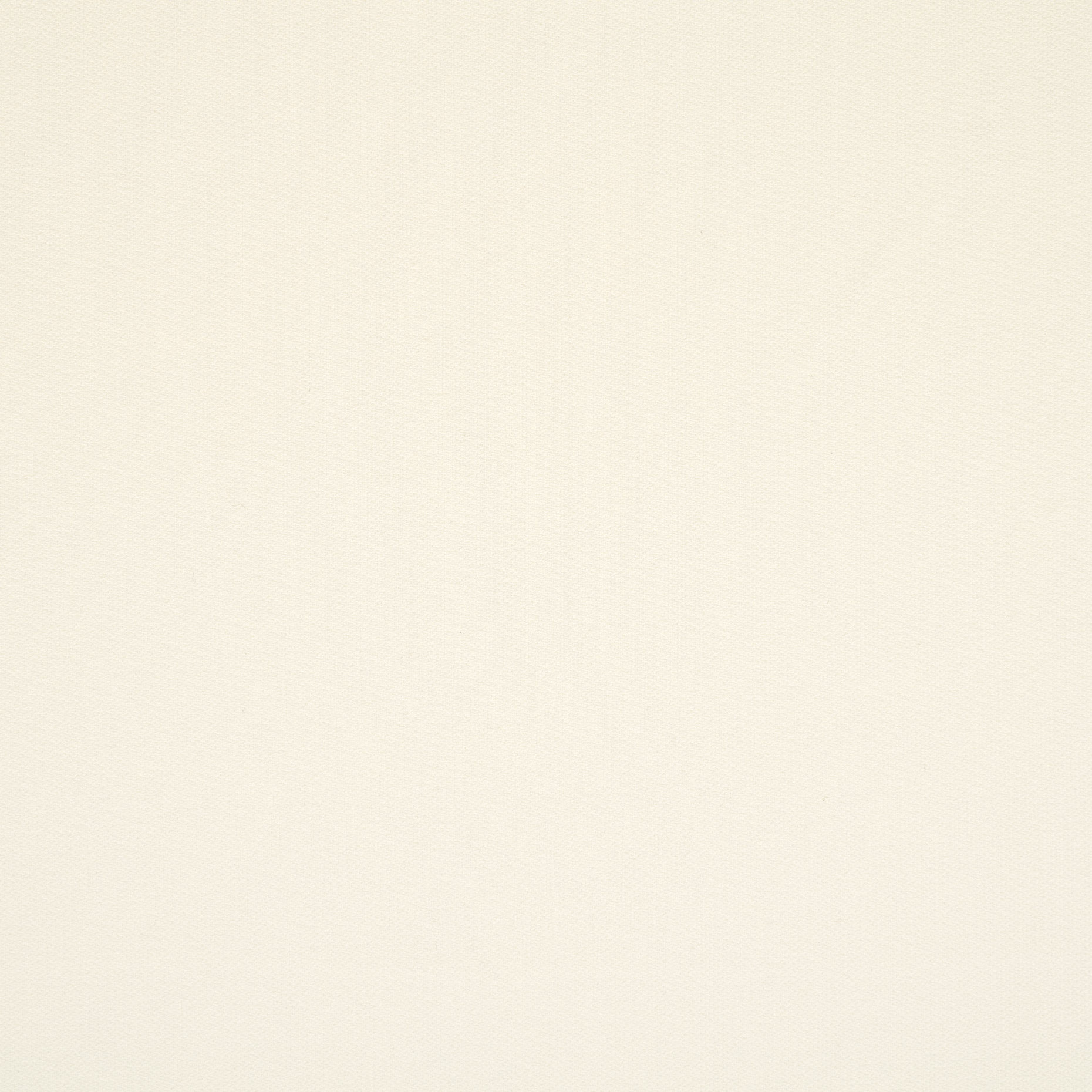 CRÊPE, WHITE (F000035284) - Texture