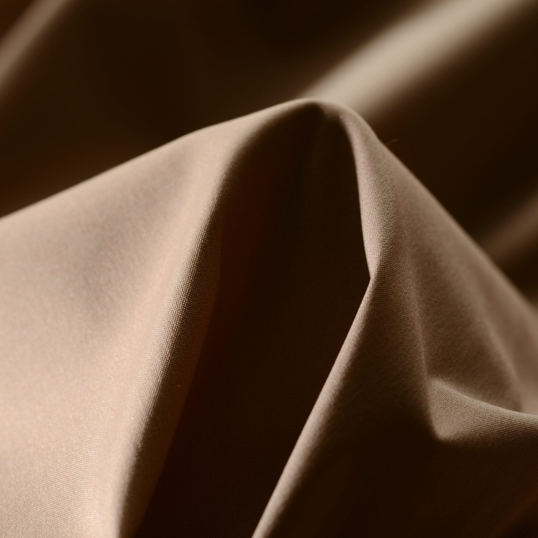 GABARDINE, COTTON ELASTIC, BISCUIT (F000007056)