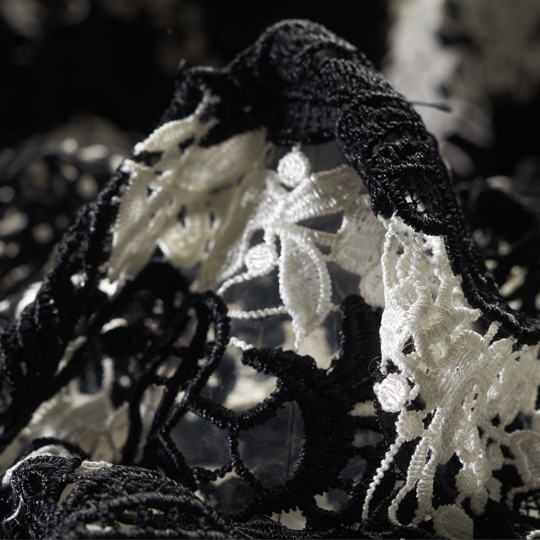 Koronka, Kwiatowy, Snow White&Black (F000026137)