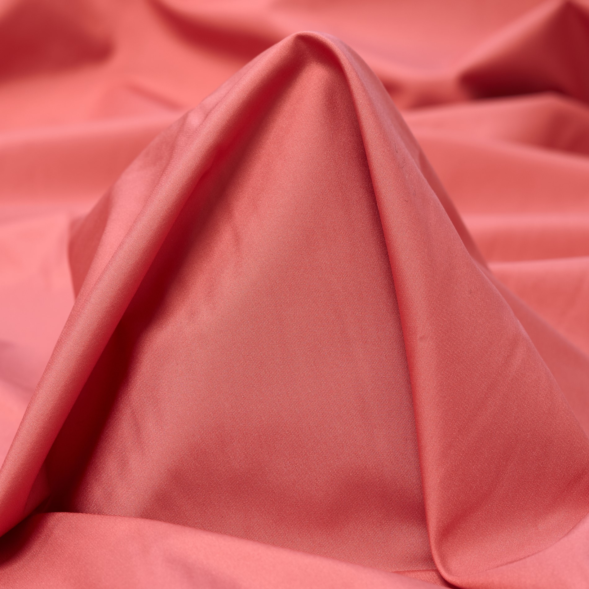 OUTDOOR, DESERT ROSE (F000032390)