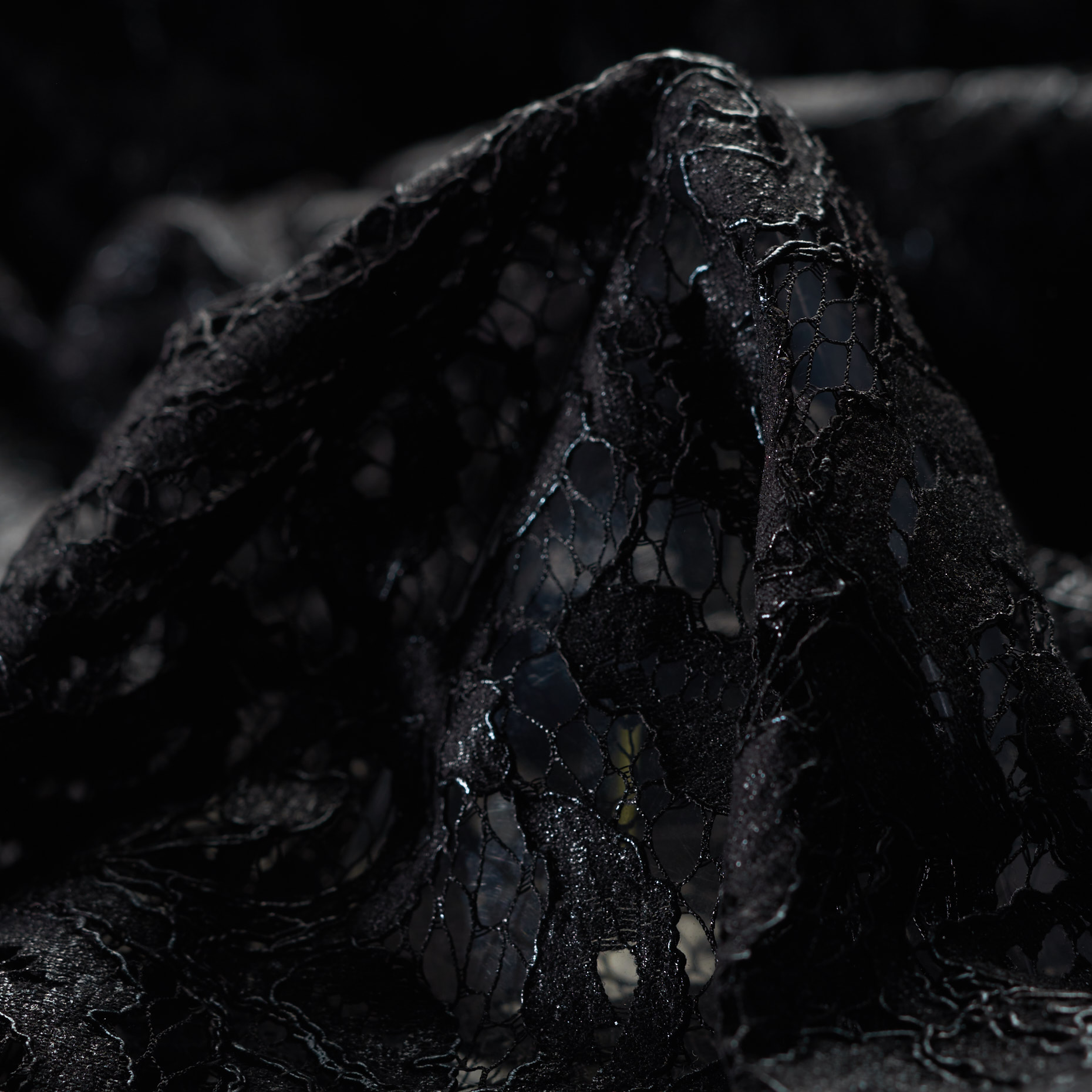 LACE, COTTON, JET BLACK (F000020918)