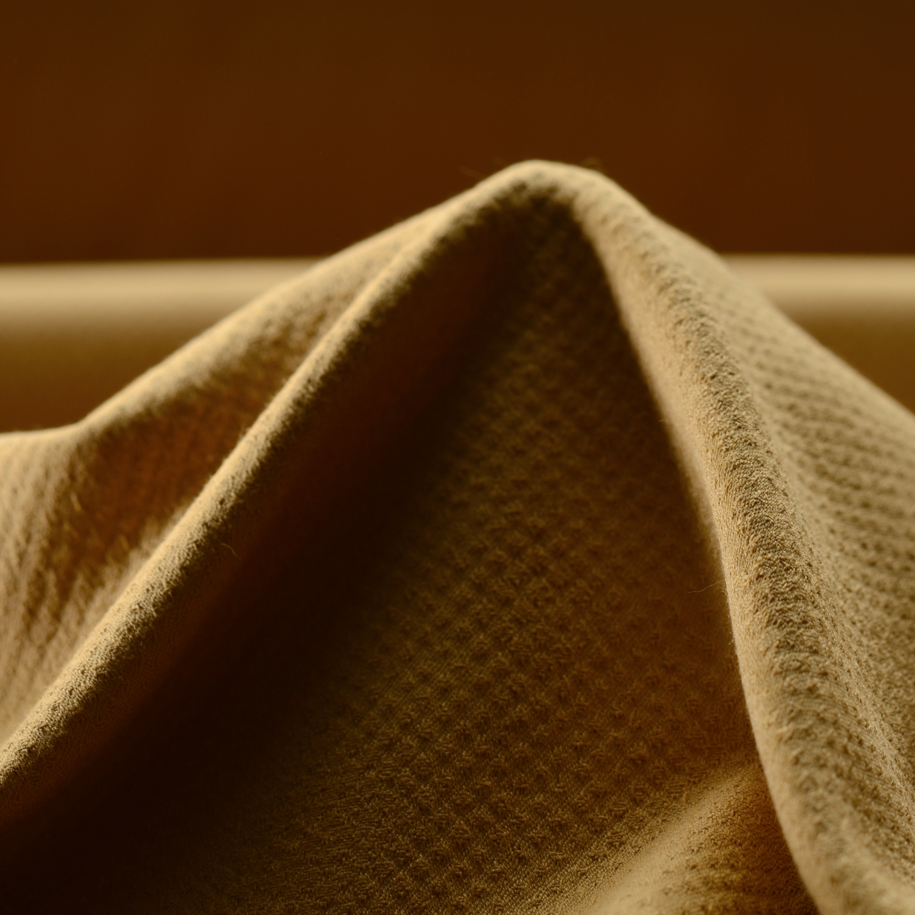 JACQUARD, COTTON ELASTIC, HIDDEN DOTS, BISCUIT (F0000121)