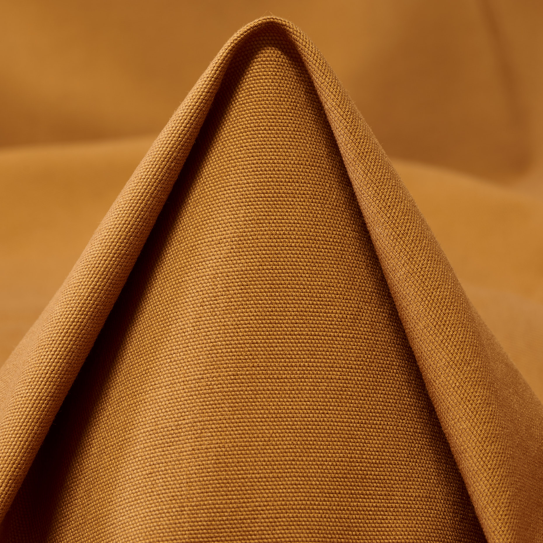 COTTON, ELASTIC, CARAMEL (F000043300)