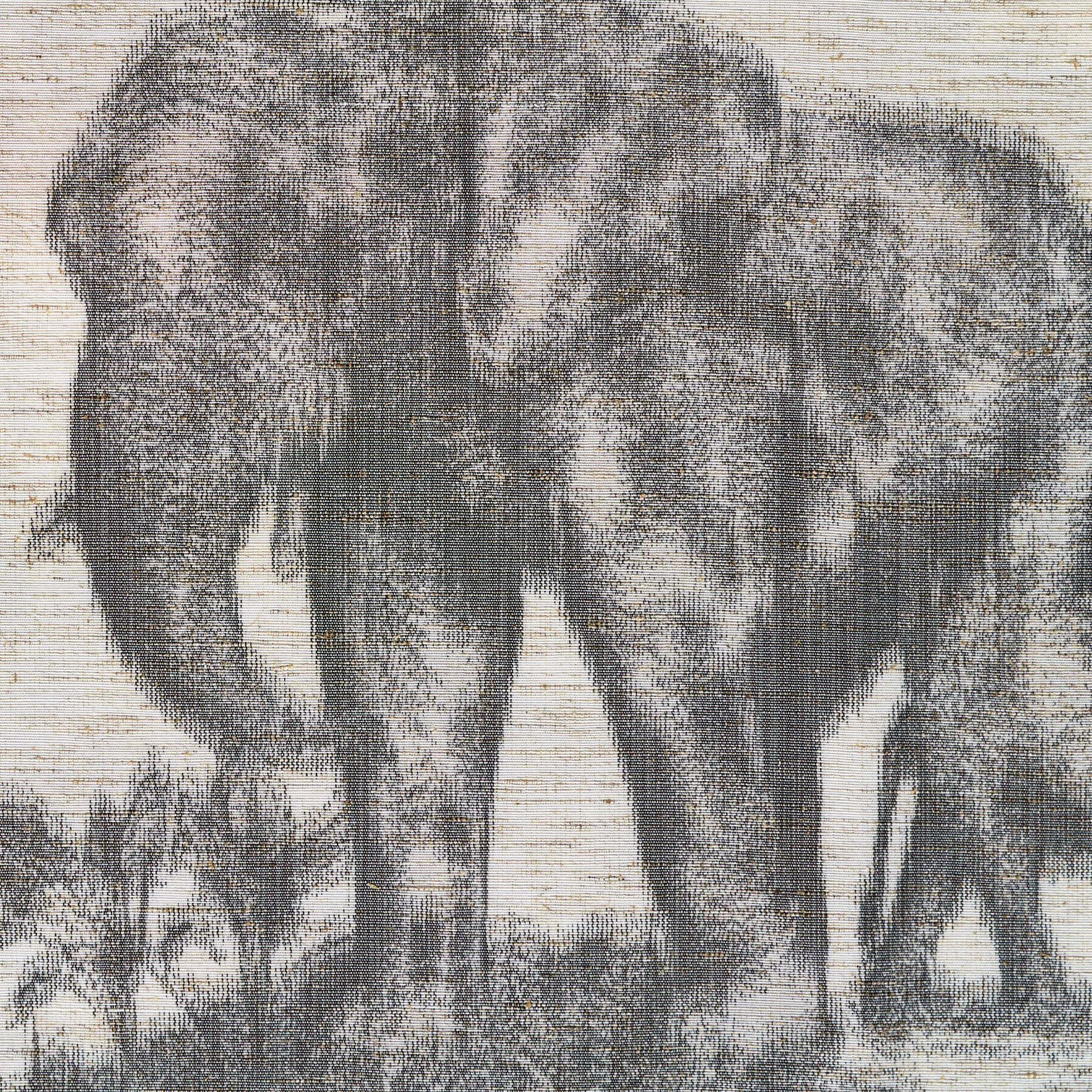 TAFFETA, CHINÉ, ANIMAL, SKYROCKET&NIMBUS CLOUD (P000002790) - Texture