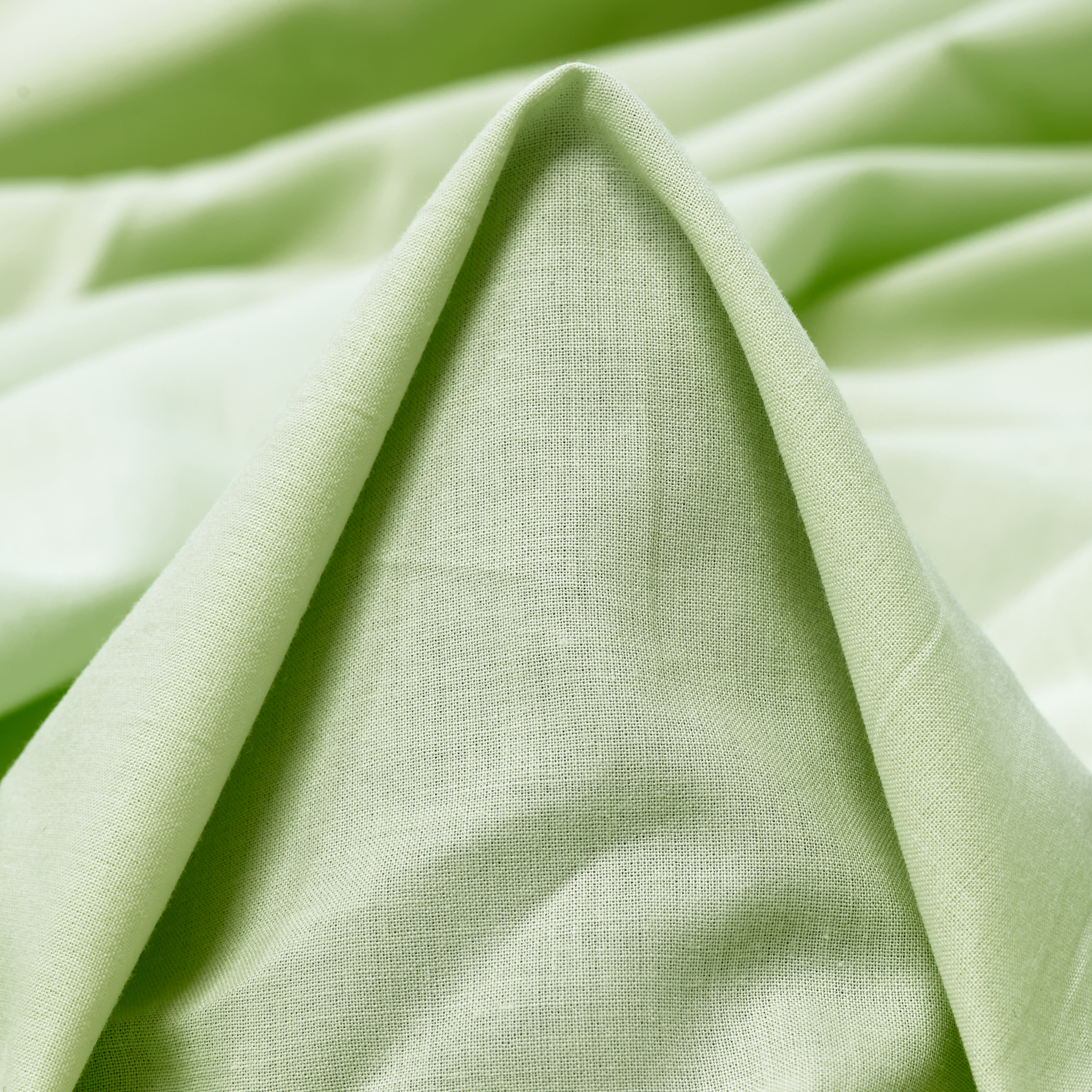 BATISTE, COTTON, BOK CHOY (F000032857)