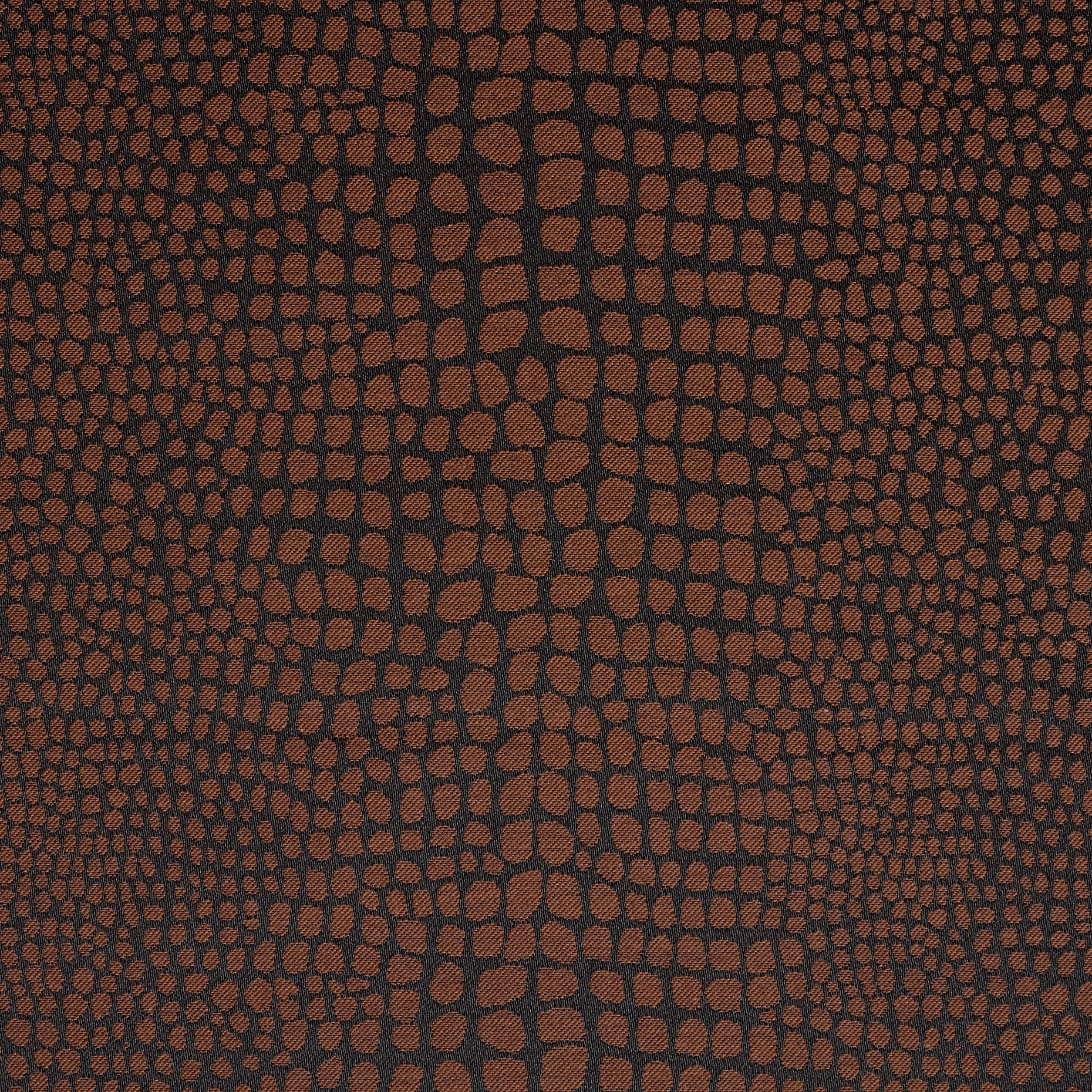 Jacquard, Baumwolle, Elastik, Maroon&Black (F000038403) - Gewebe