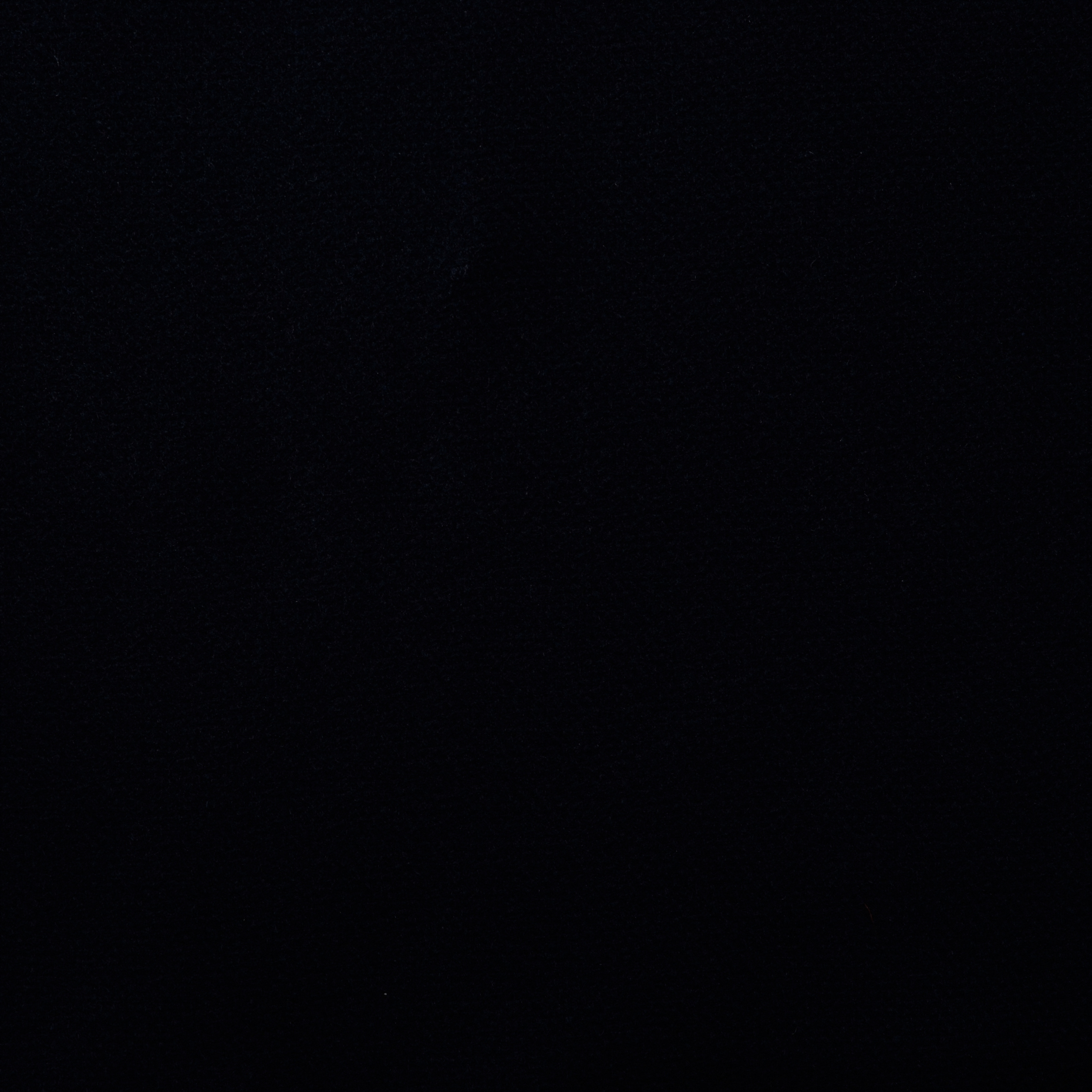 Лоден, Шерсть Виргинская, Parisian Night (F000023673) - Ткань