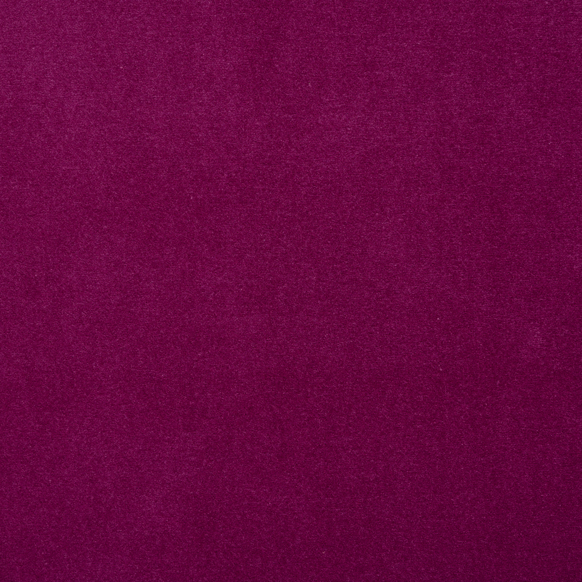 VELVET, COTTON, MULBERRY (F000039491) - Texture