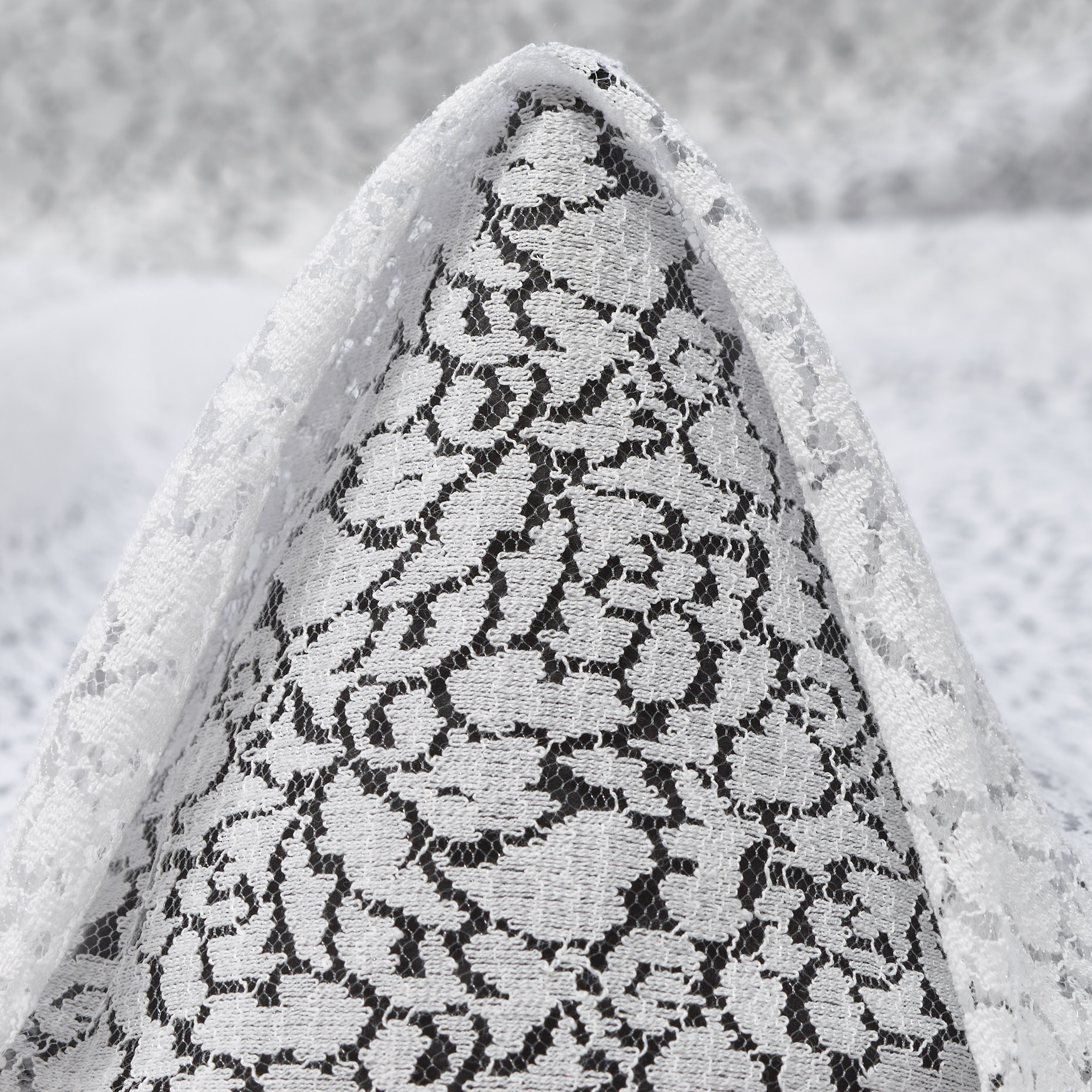 Spitze, Baumwolle, Floral, Brilliant White (F000046202)