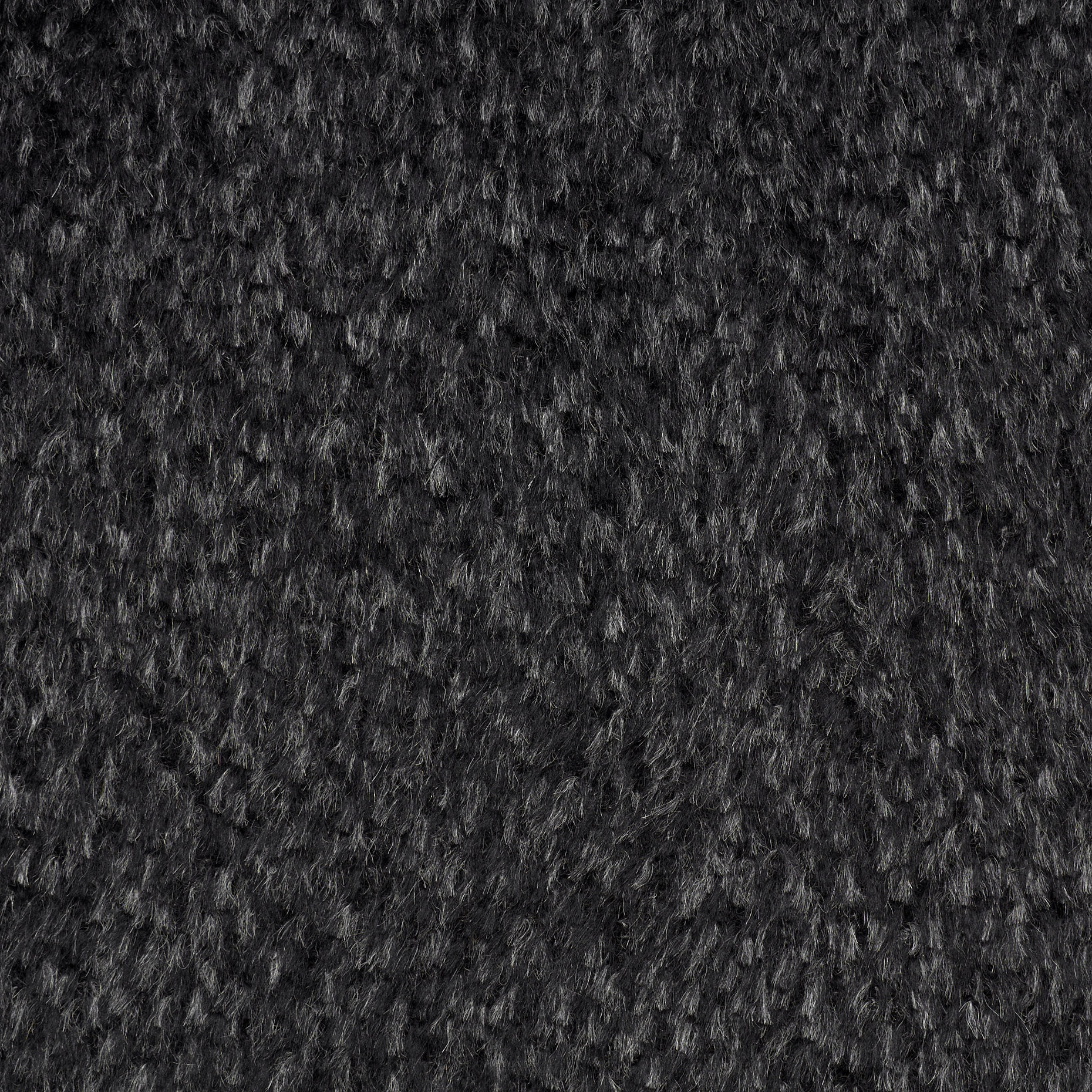 ALPACA, CAVIAR (F000038138) - Texture