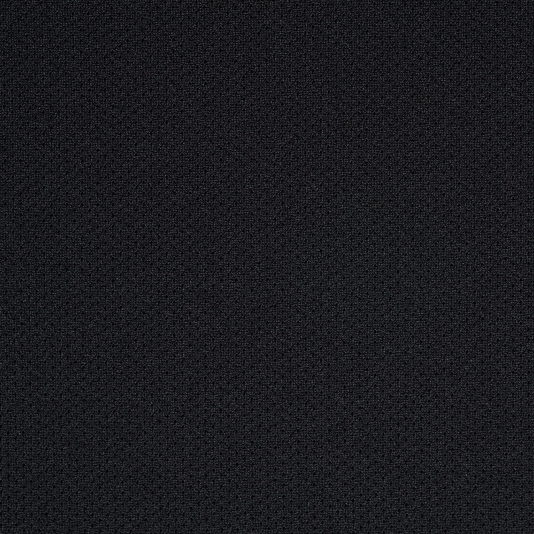 MESH, RAVEN BLACK (F000042149) - Texture