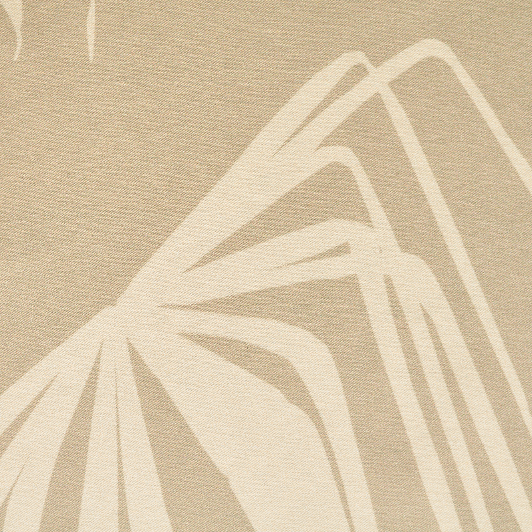 POPLIN, COTTON, FLORAL, OYSTER GRAY (T0000730) - Texture