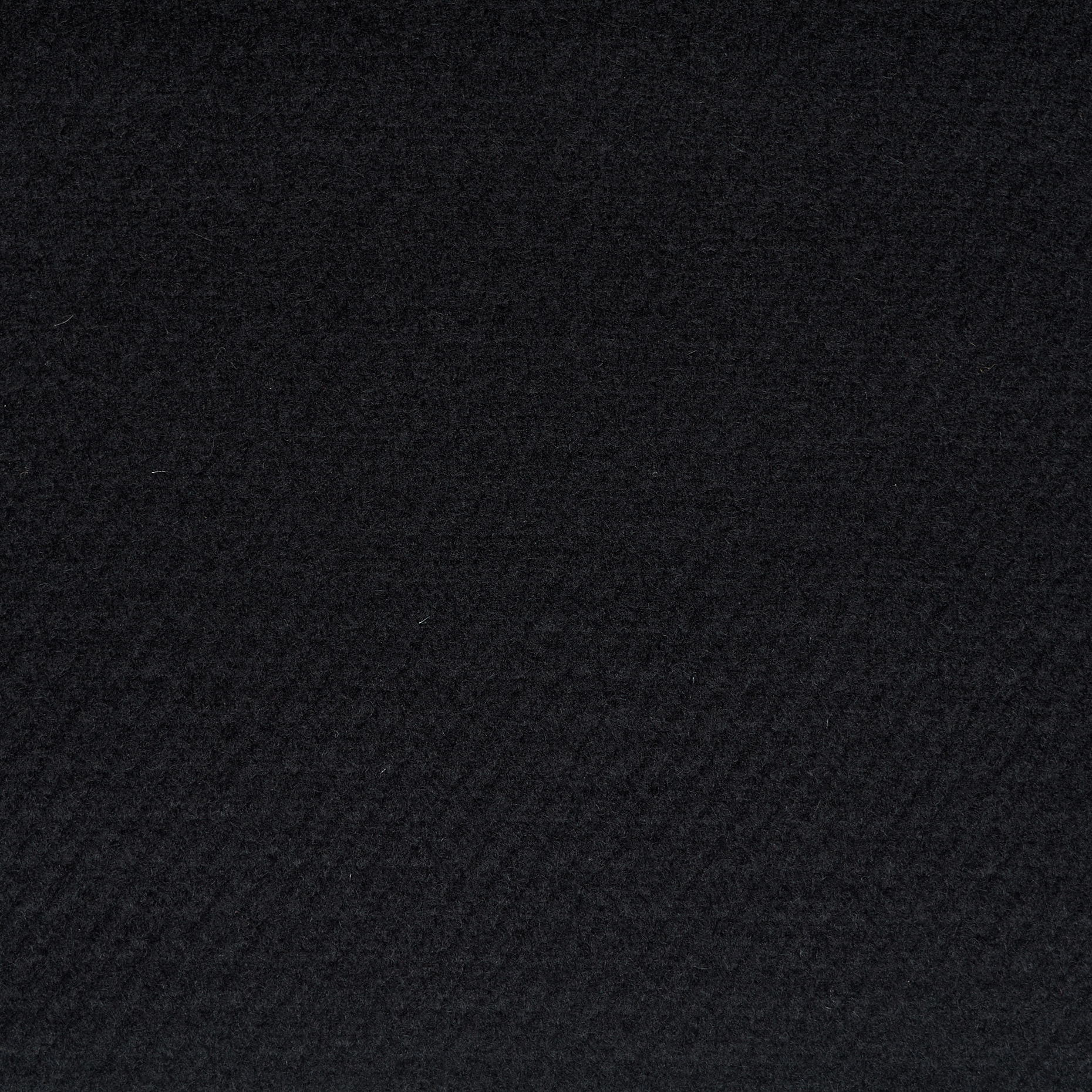 LODEN, VIRGIN WOOL, STIFF, JET BLACK (F000048201) - Texture