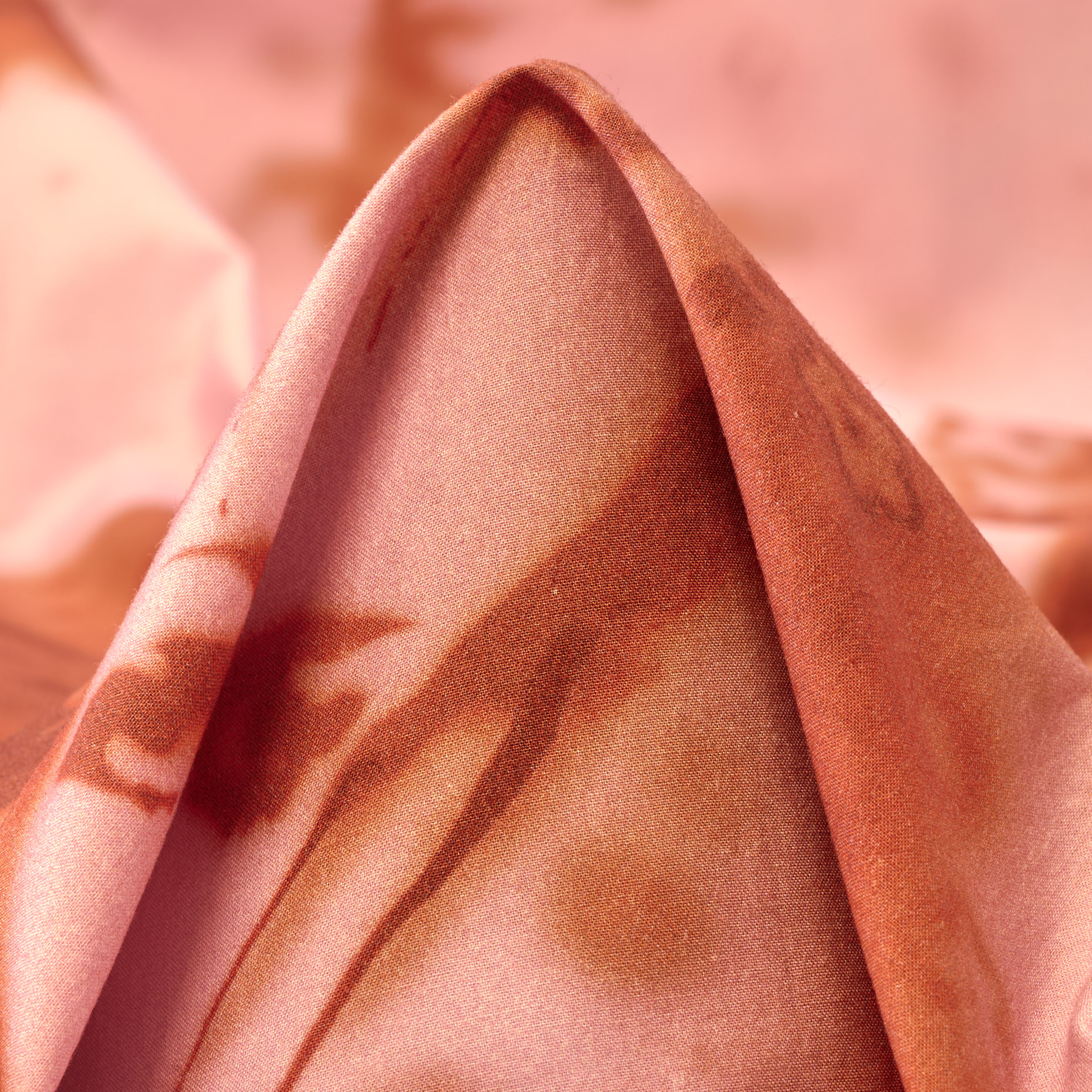 POPLIN, COTTON, PRINTED, PINK LADY (F000031899)