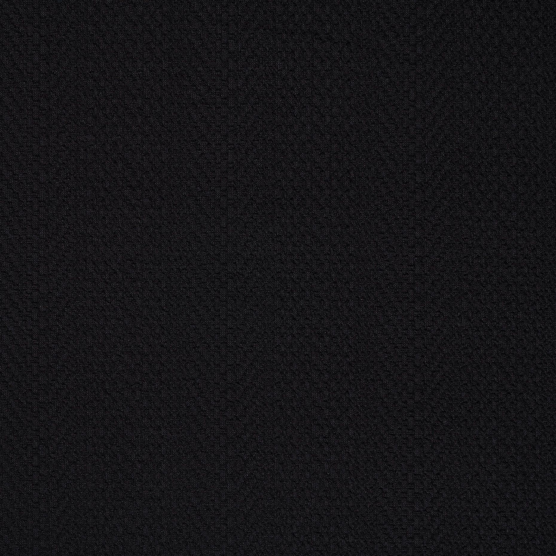 COTTON, MICRO STRUCTURE, ELASTIC, JET BLACK (F000038498) - Texture