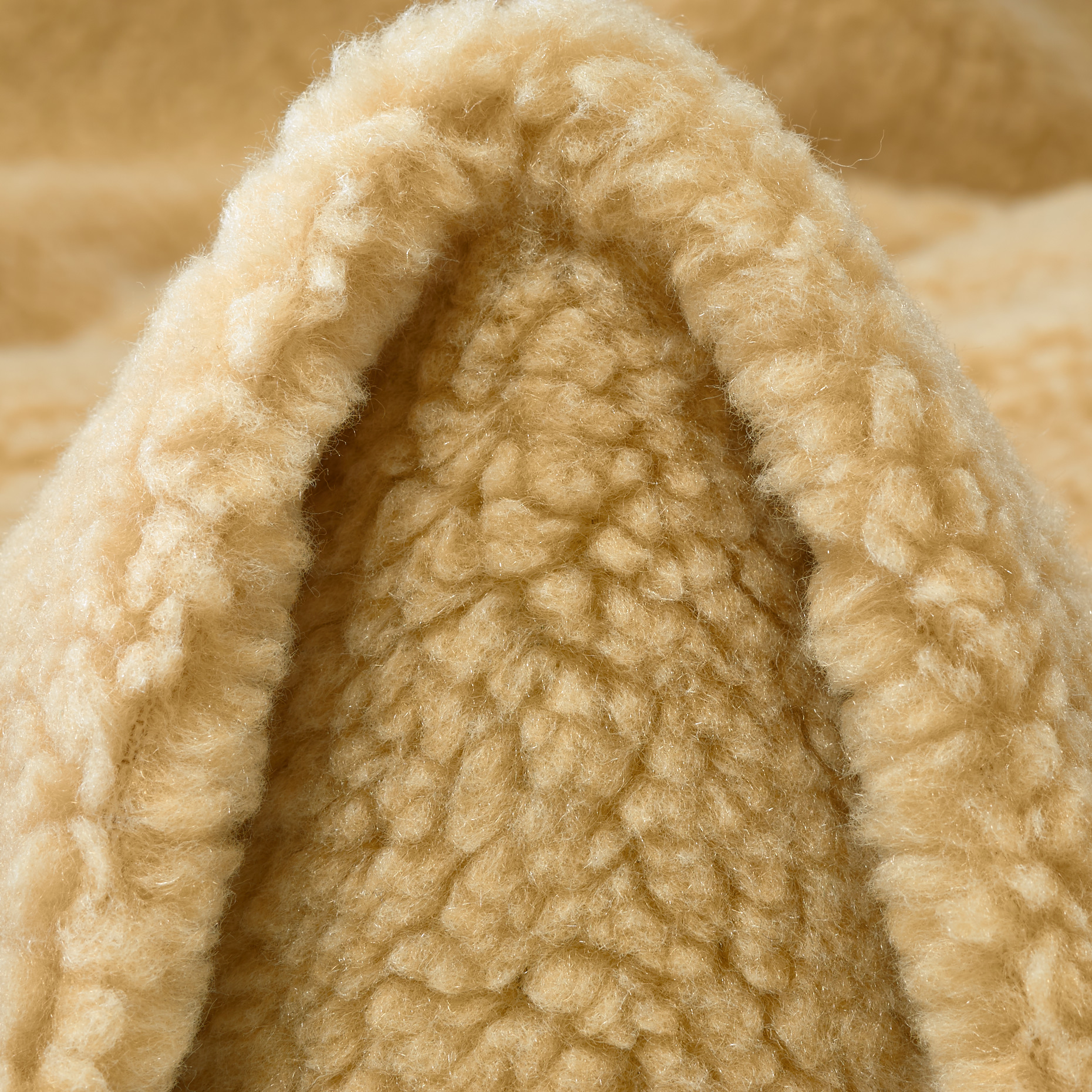 Teddy, Biscotti (F000046633)