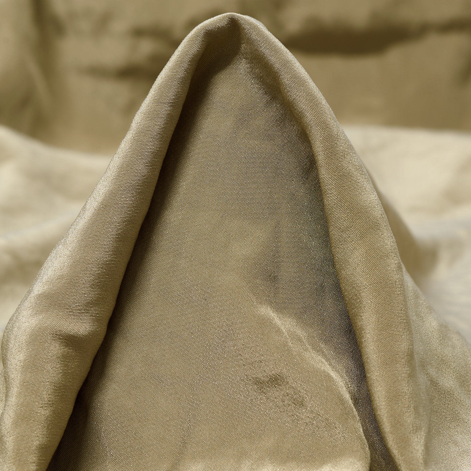 Efekt jedwabiu, Eucalyptus (F000043471)