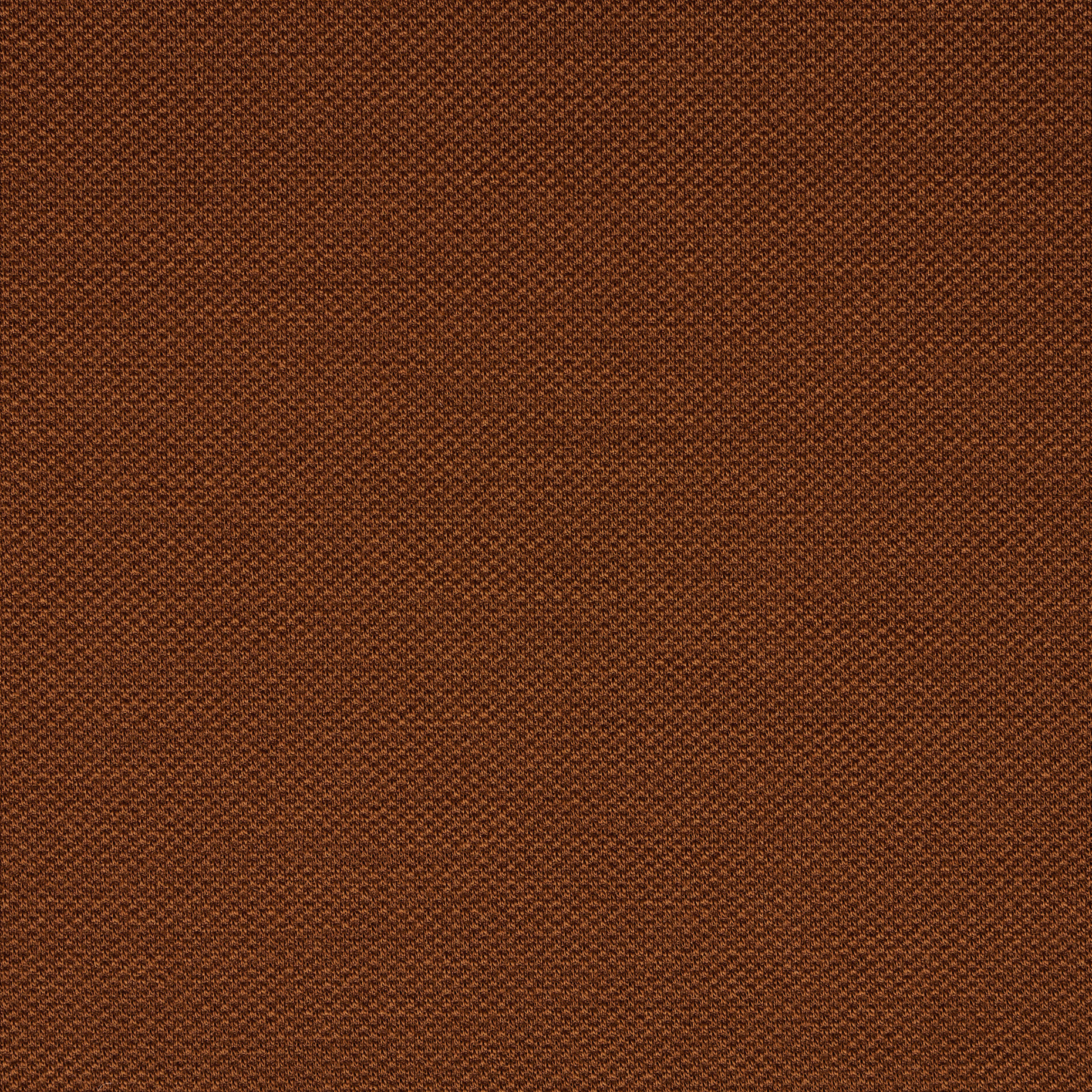 JERSEY, VIRGIN WOOL, ELASTIC, GINGER BREAD (F000043768) - Texture