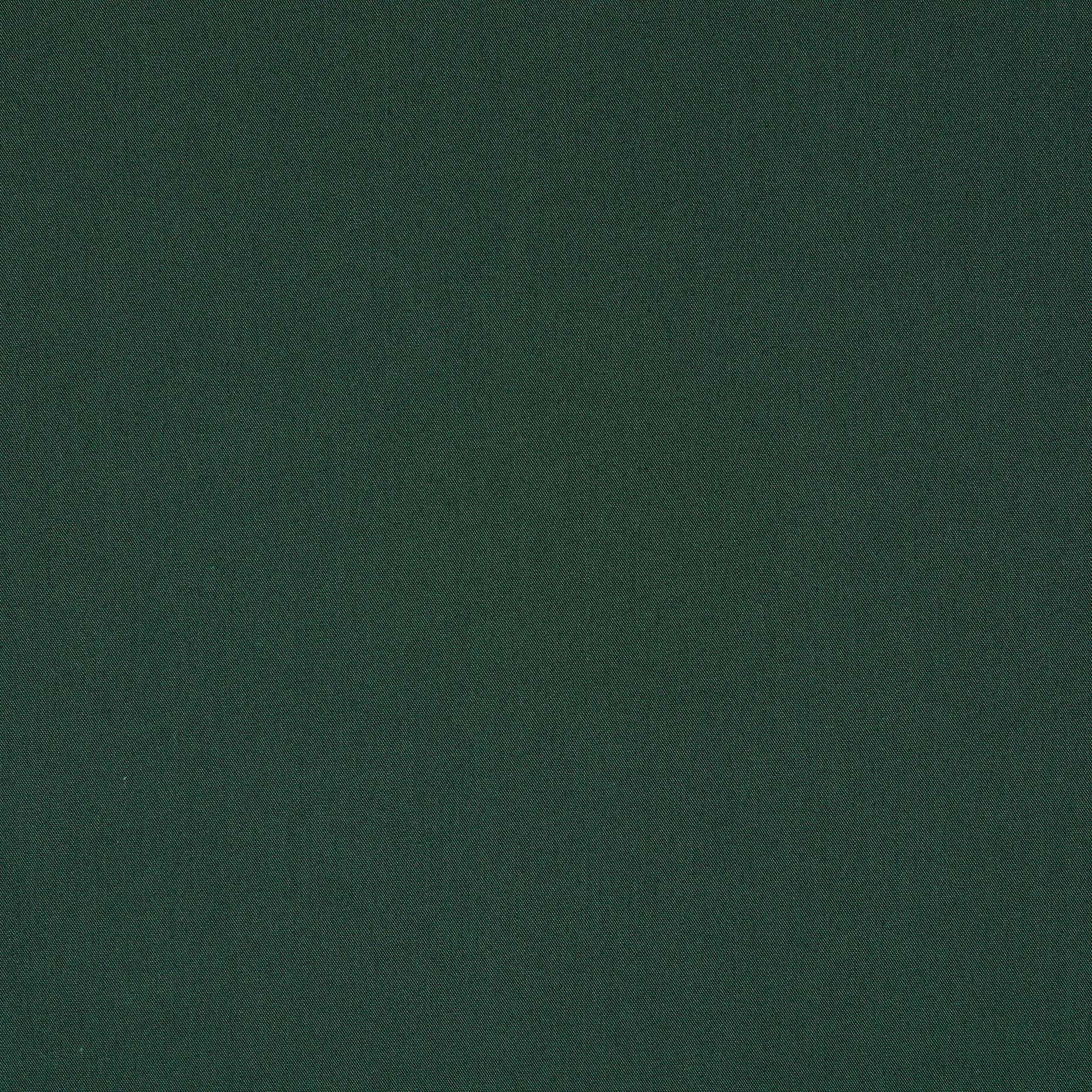POPLIN, COTTON, SILK, DARK GREEN (T0000490) - Texture