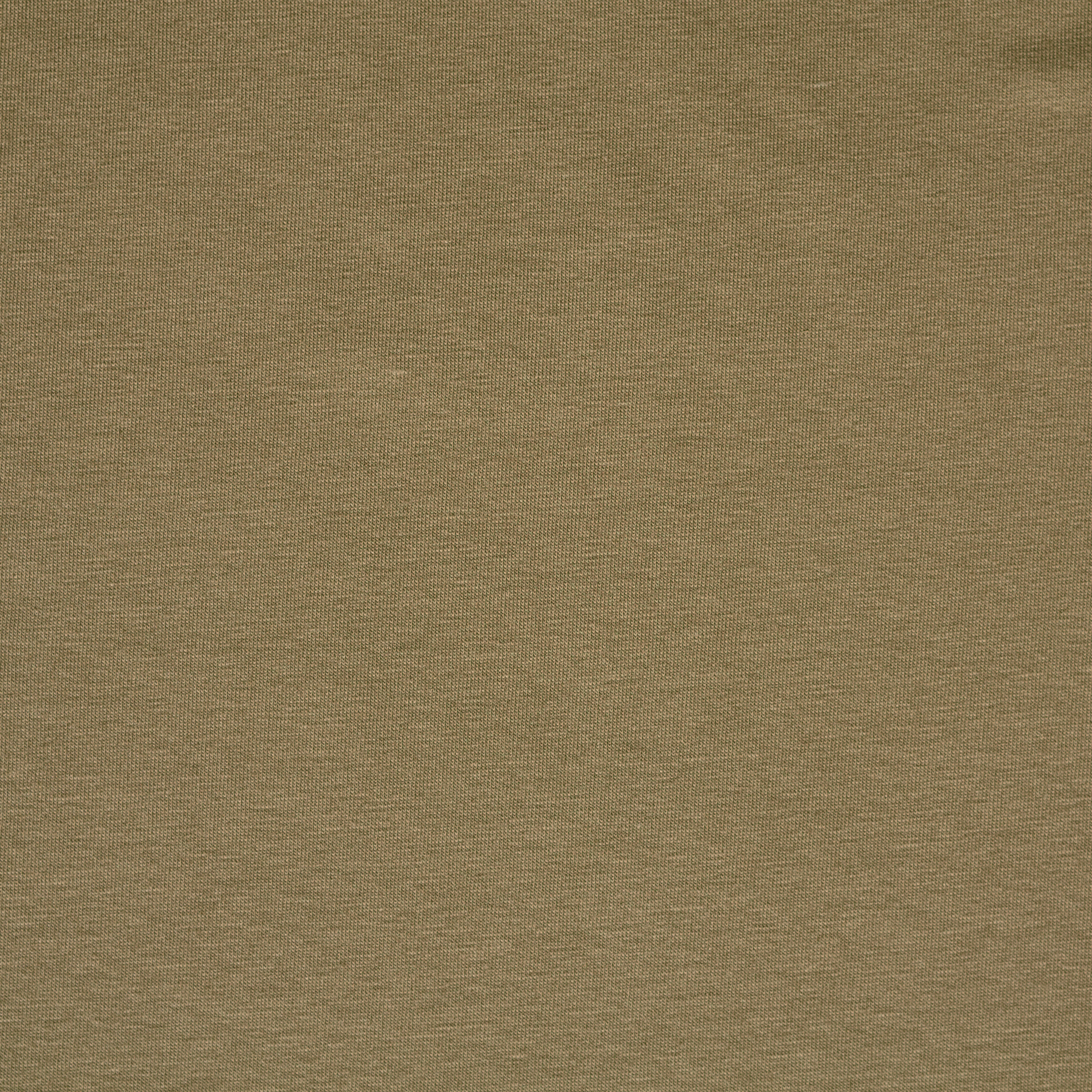 Single Jersey, Bawełna, Dried Sage (F000034671) - Tkana