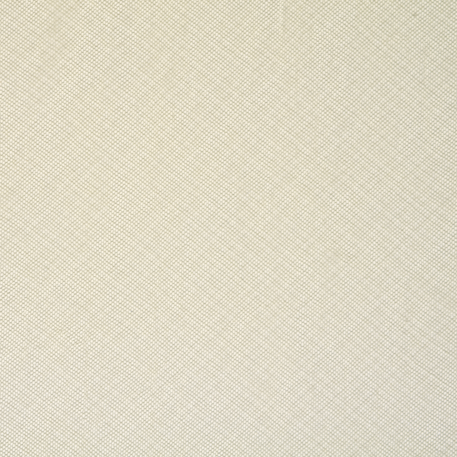 Siatka, Bawełna, Snow White (F000034433) - Tkana