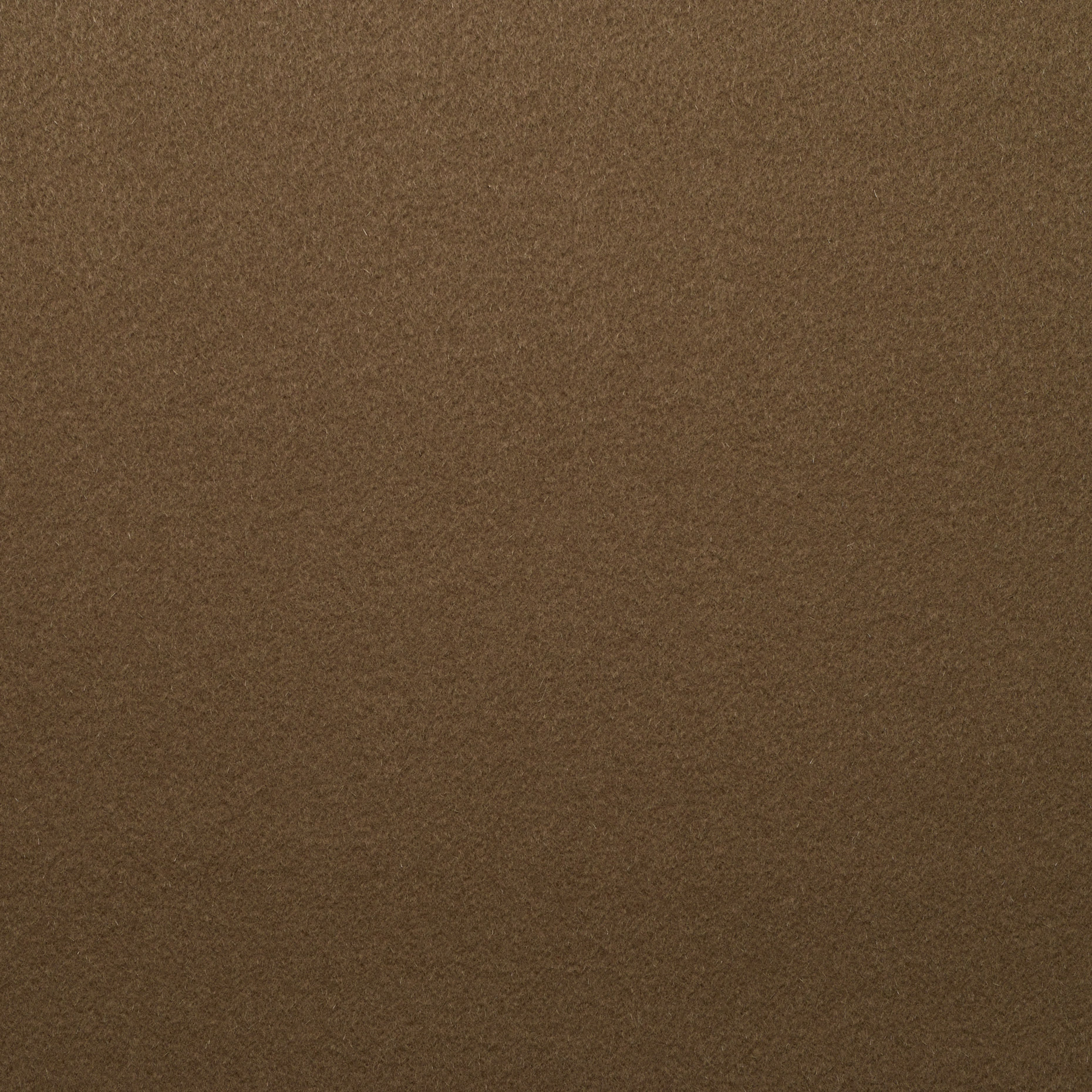 BOILED WOOL, VIRGIN WOOL, WALNUT (F000026075) - Texture