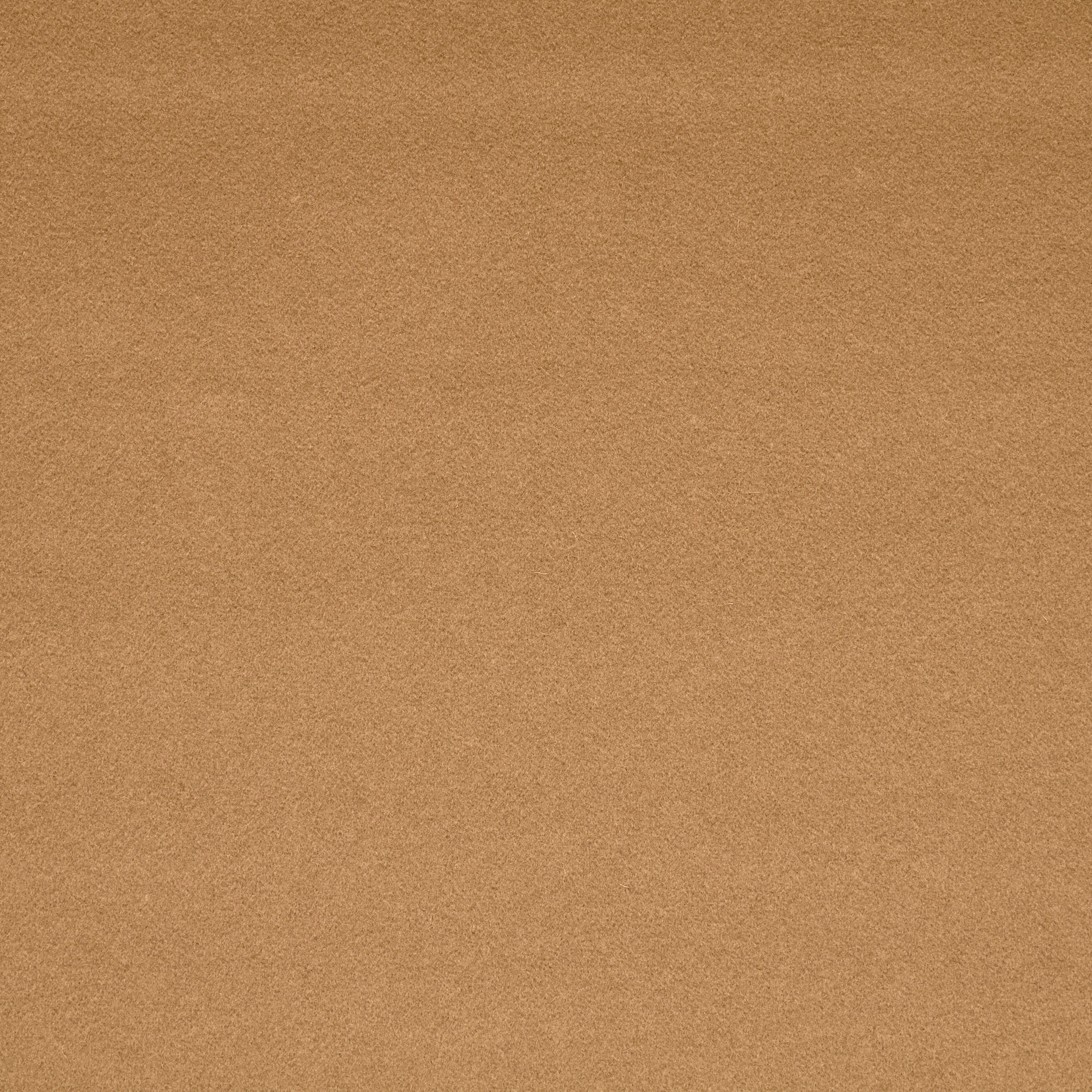 Drap, Schurwolle, Biscuit (F000038527) - Gewebe