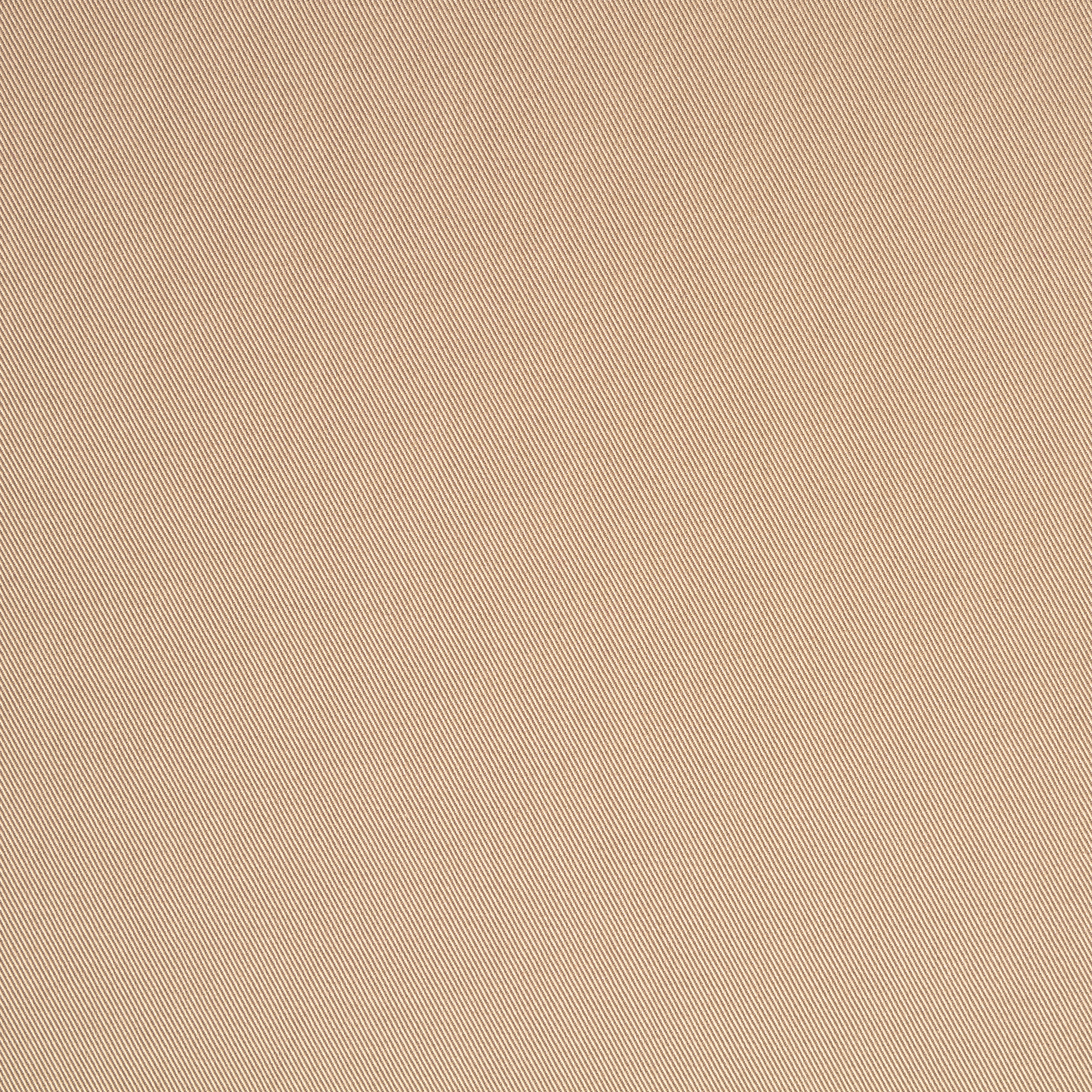 TWILL, COTTON, ELASTIC, IRISH CREAM (F000049169) - Texture