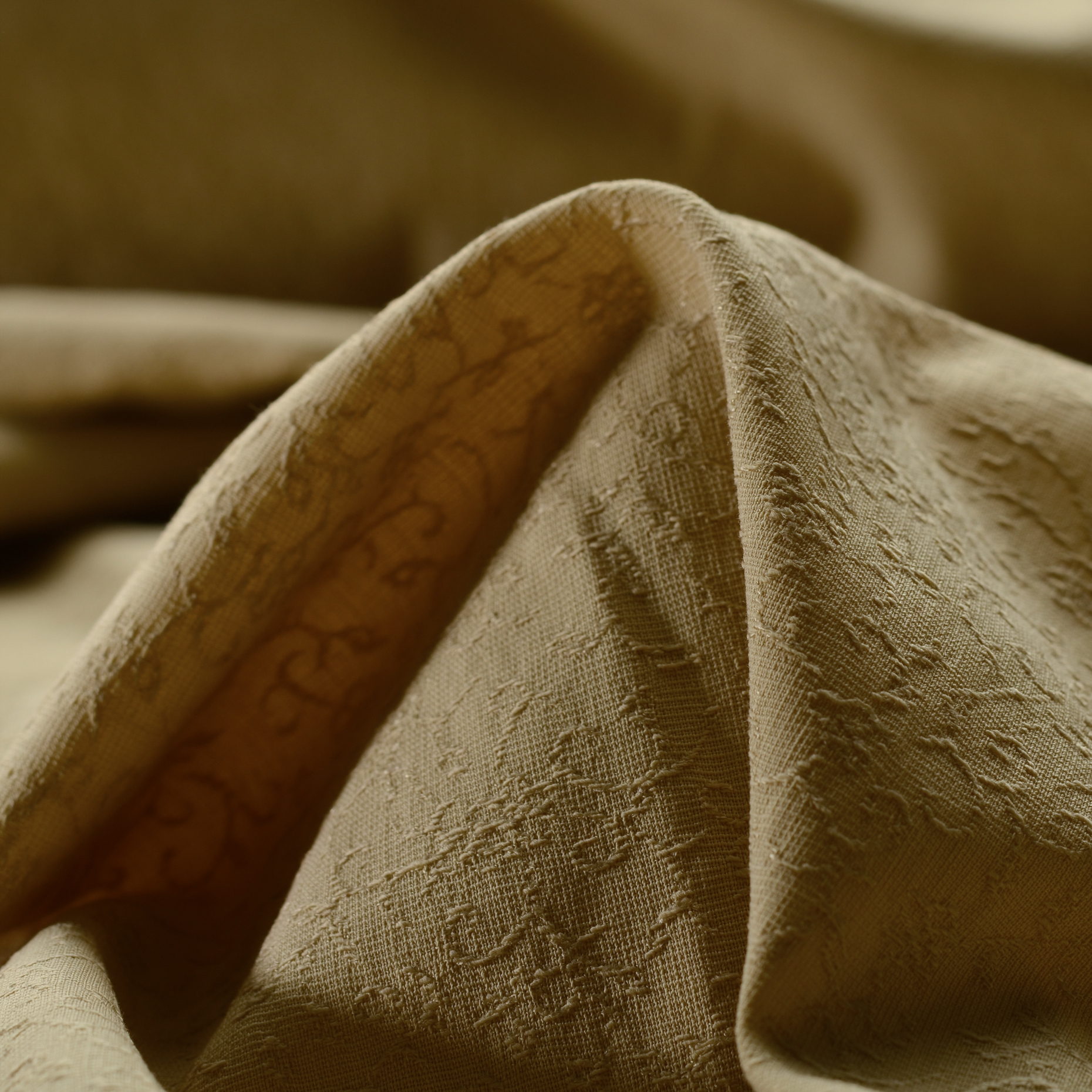 JACQUARD, COTTON ELASTIC, TONE ON TONE, BISCUIT (F000016667)