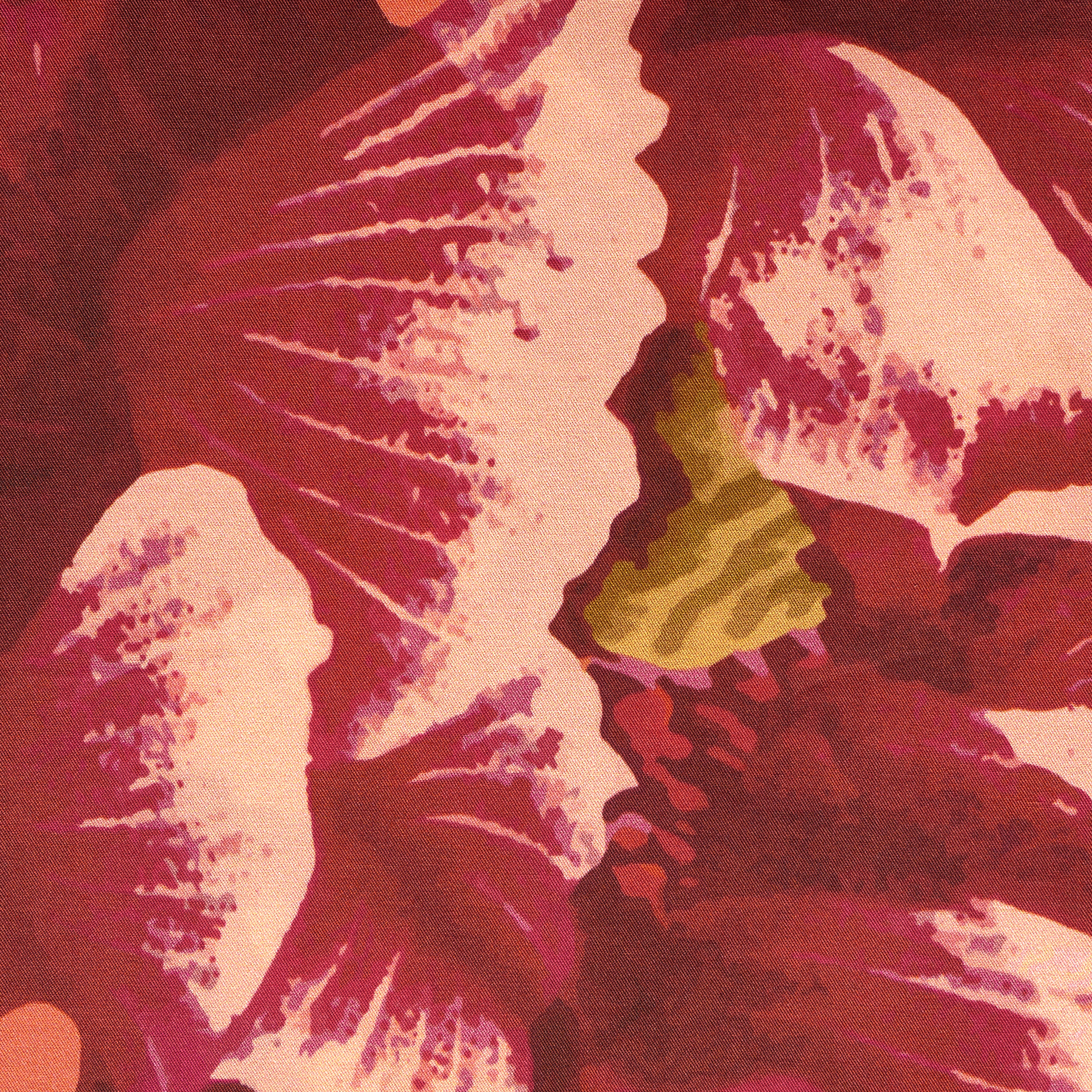 POPLIN, COTTON, FLORAL, CORAL&AQUA HAZE (T0000727) - Texture