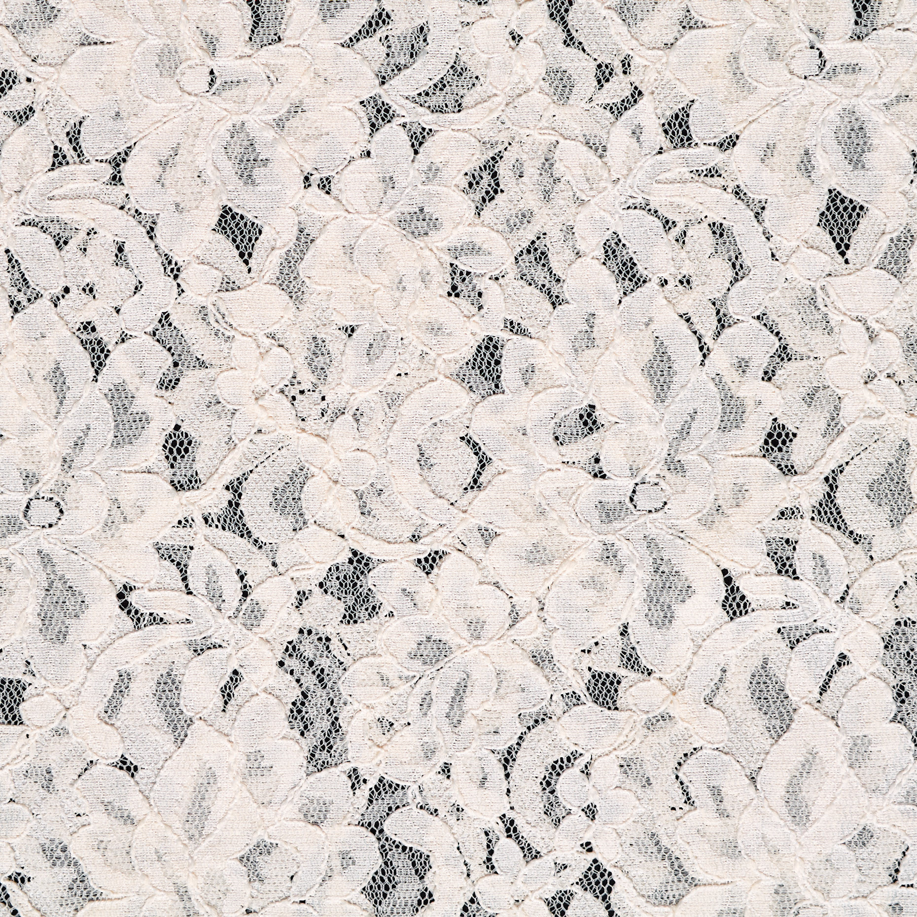 Koronka, Tiul, Kwiatowy, Ivory (F000042290) - Tkana