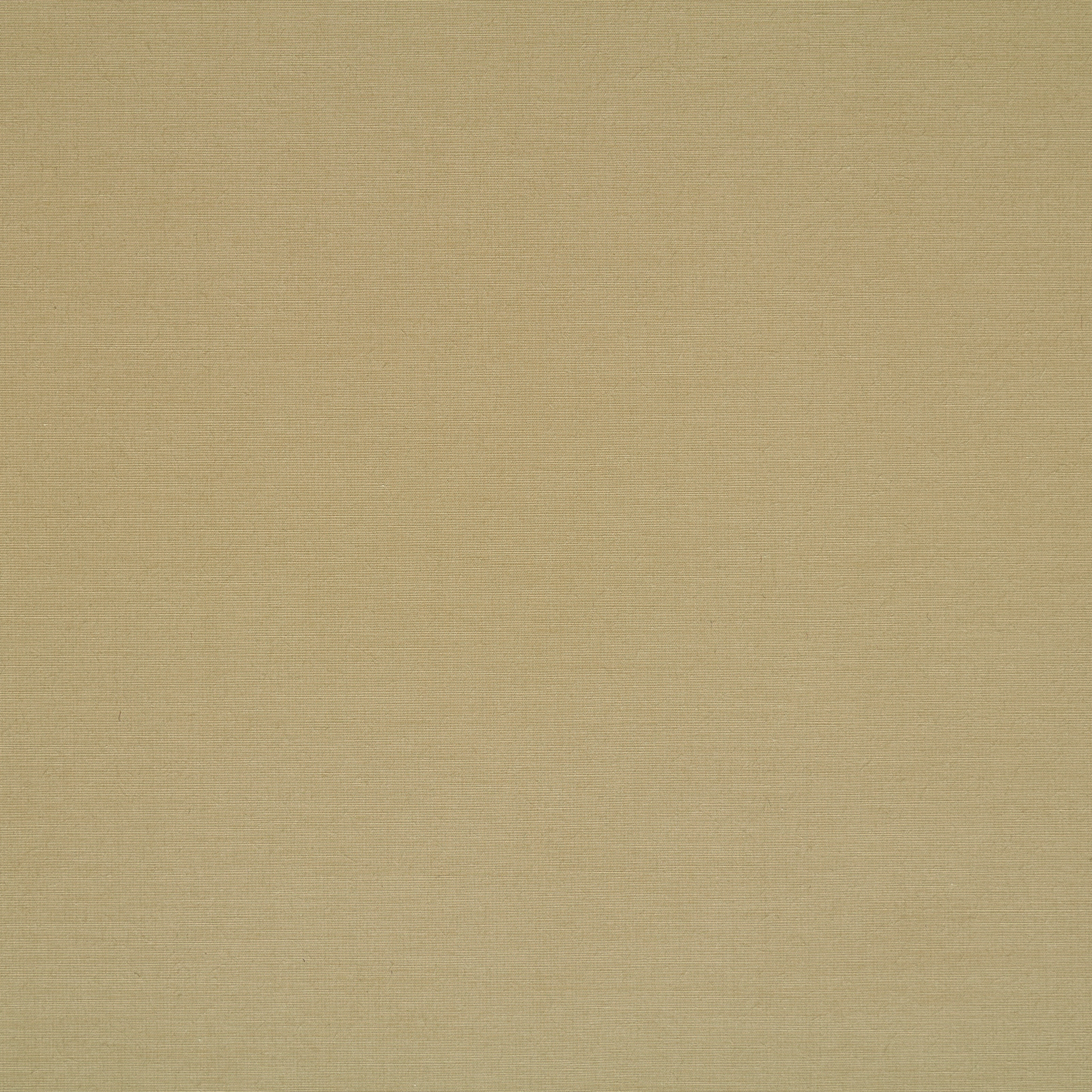 OUTDOOR, COTTON BLEND, FIELD OF RYE (F000048933) - Texture