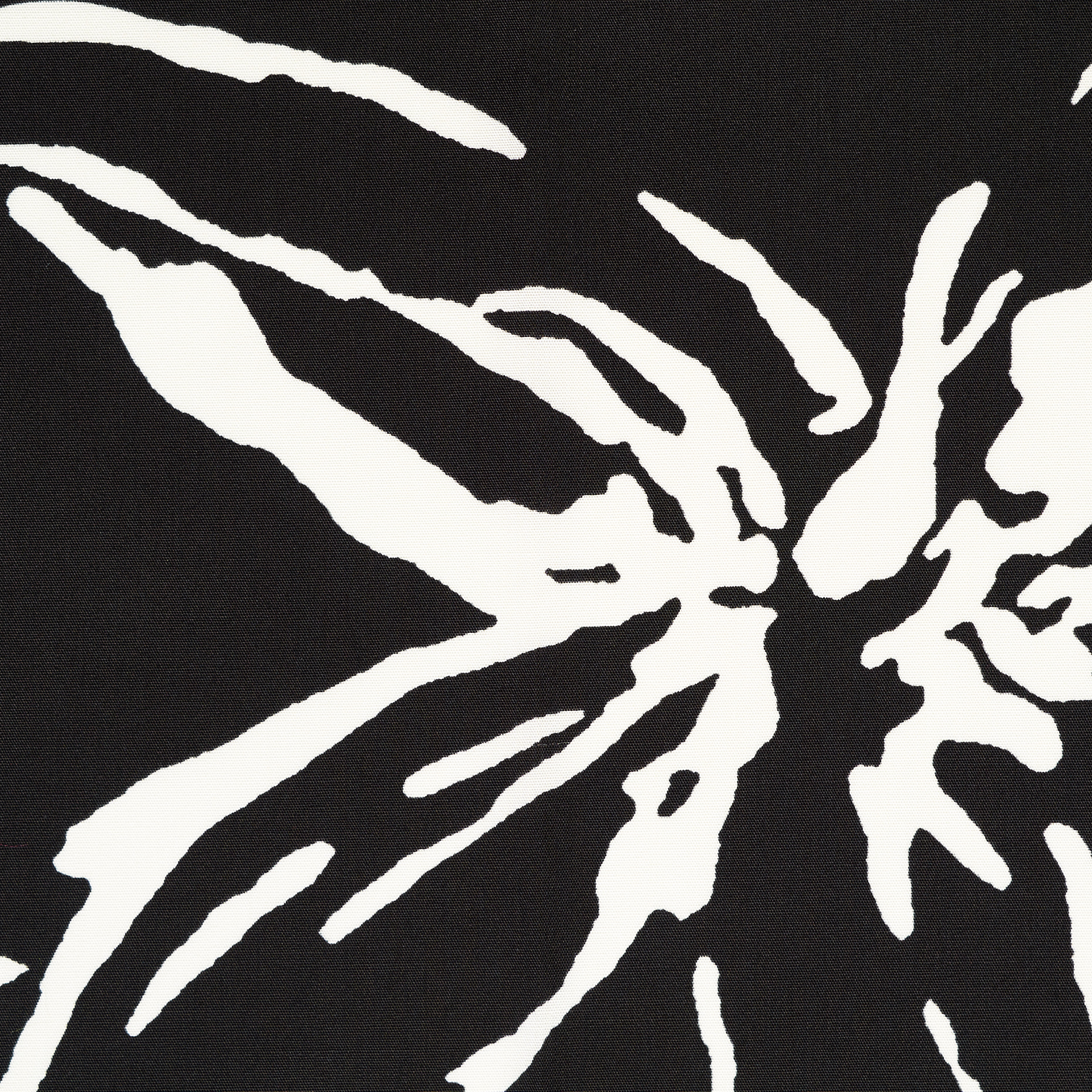 Popeline, Baumwolle, Bedruckt, Lucent White&Raven Black (F000049394) - Gewebe