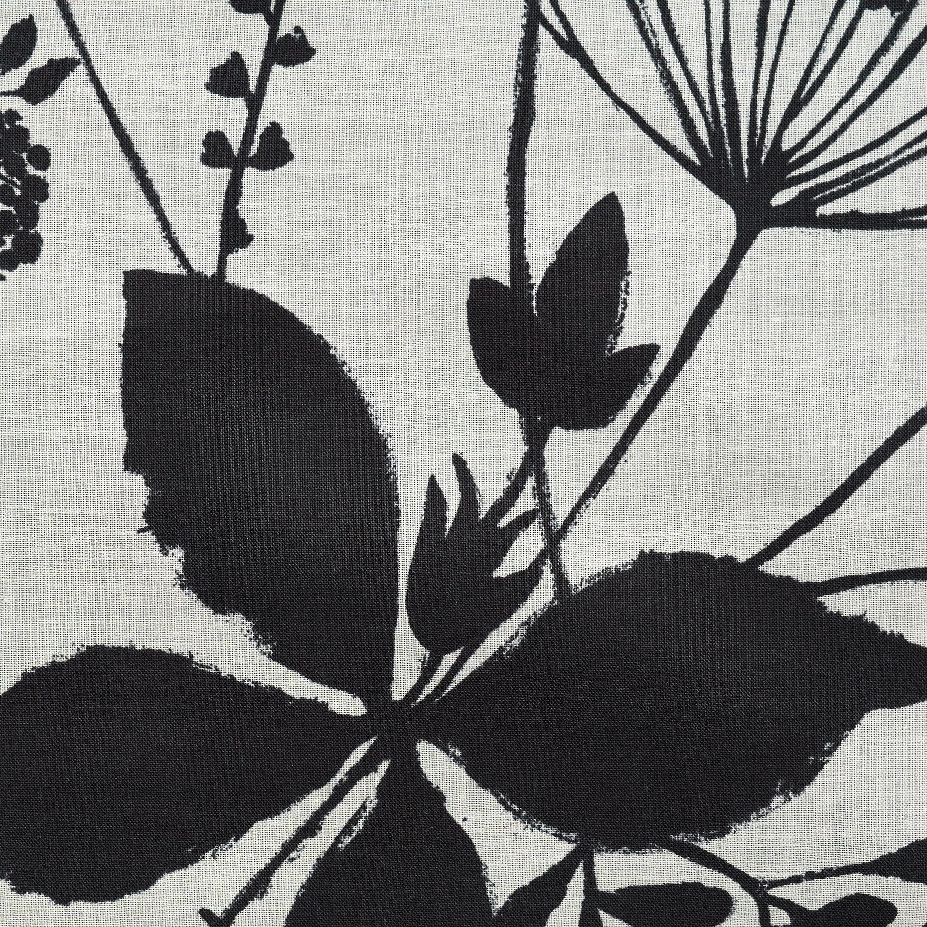 BATISTE, COTTON, FLORAL, LUCENT WHITE&JET BLACK (F000049532) - Texture